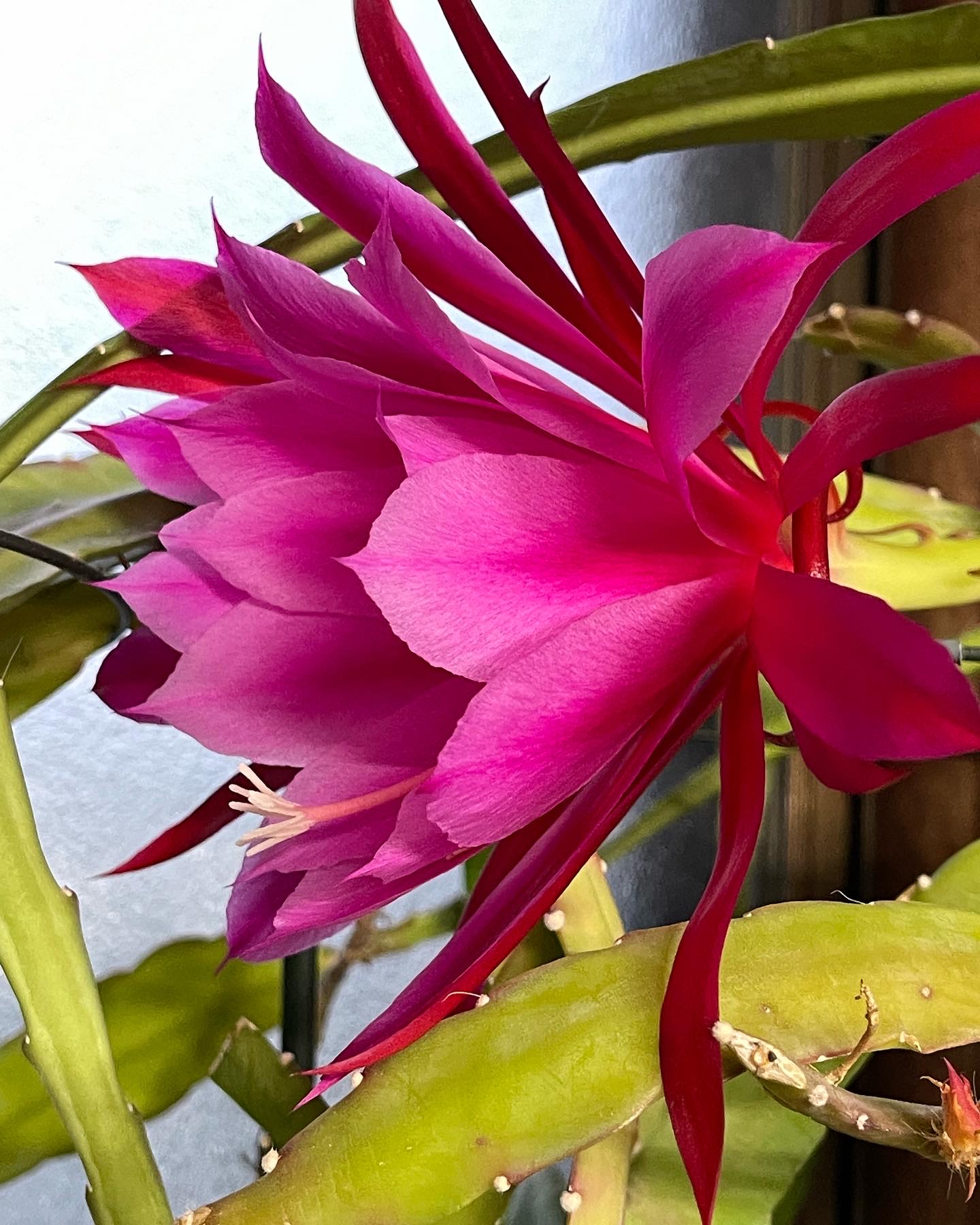 853FAA12-E166-42EA-84C1-AB5EE2F7895D