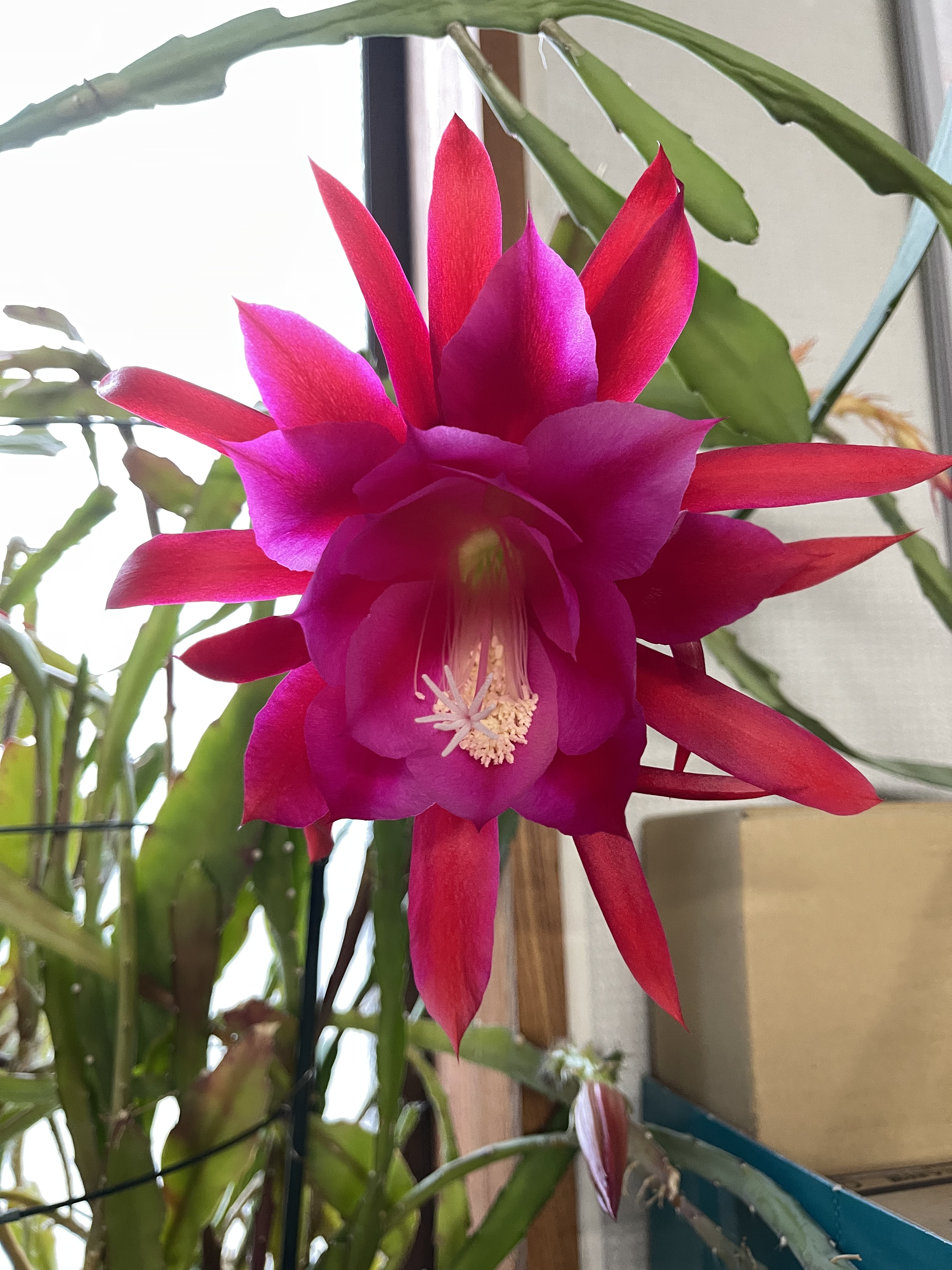 8FE47D60-7E45-4550-BB86-C8B409D79DD8