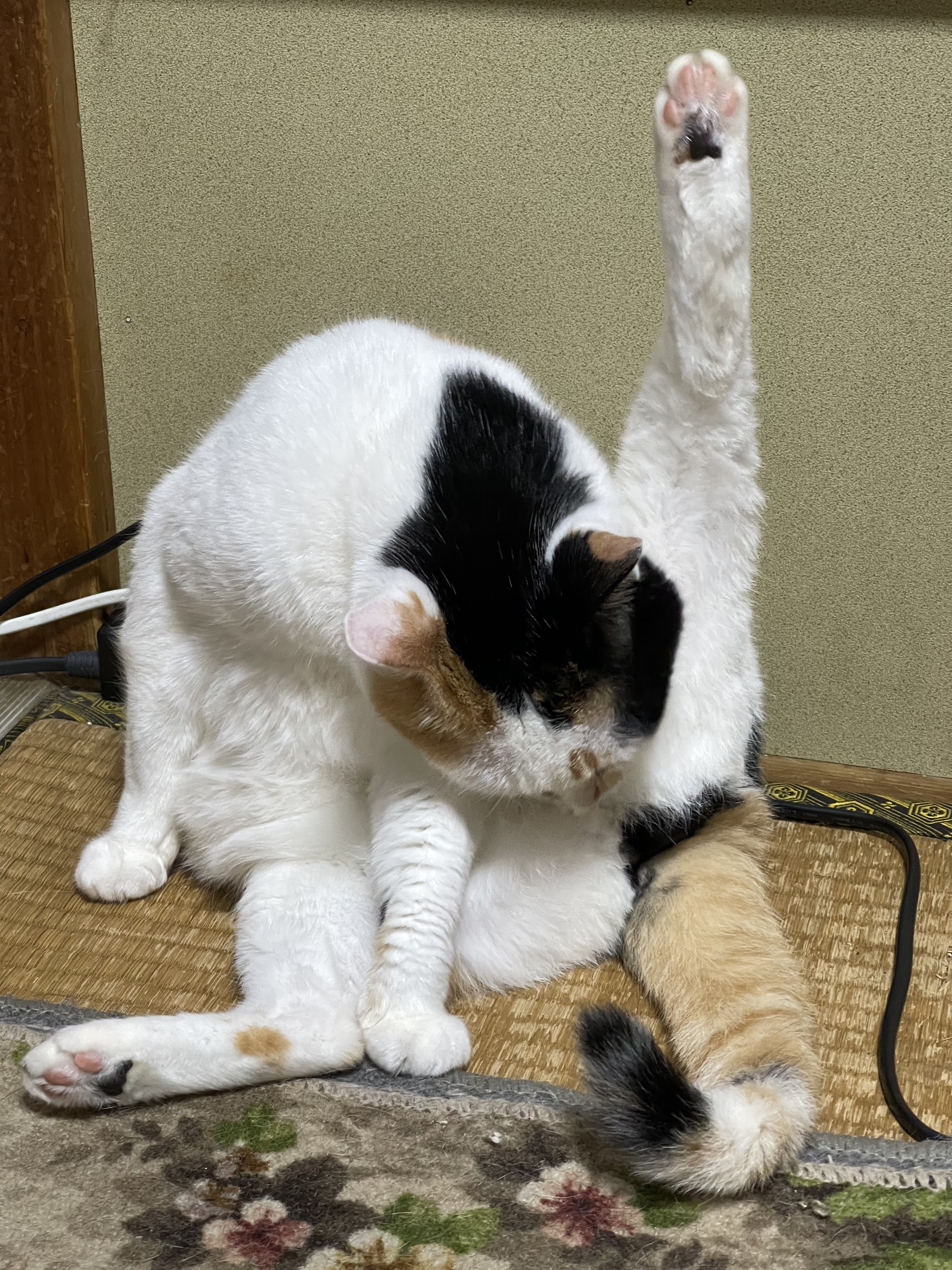 9062AE6E-0701-4F4B-AAE4-10376FFC6119