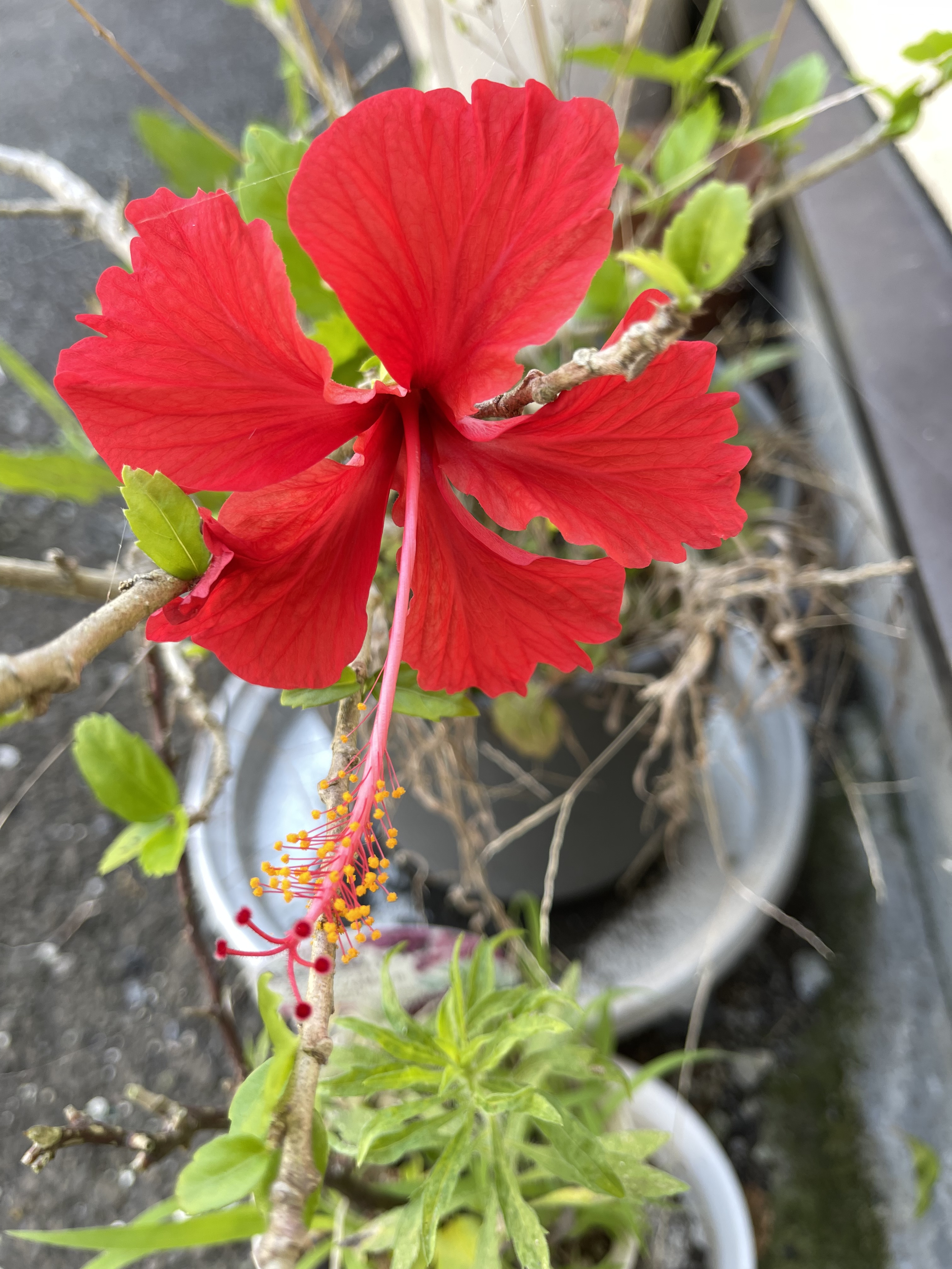 A3209C1F-53FE-43CD-9BFC-4301D901C994