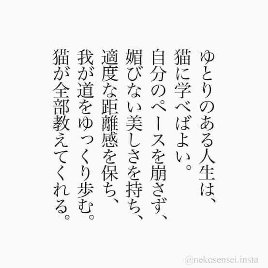 AAC73C27-B4D6-4664-BC8C-26E55F21DC79