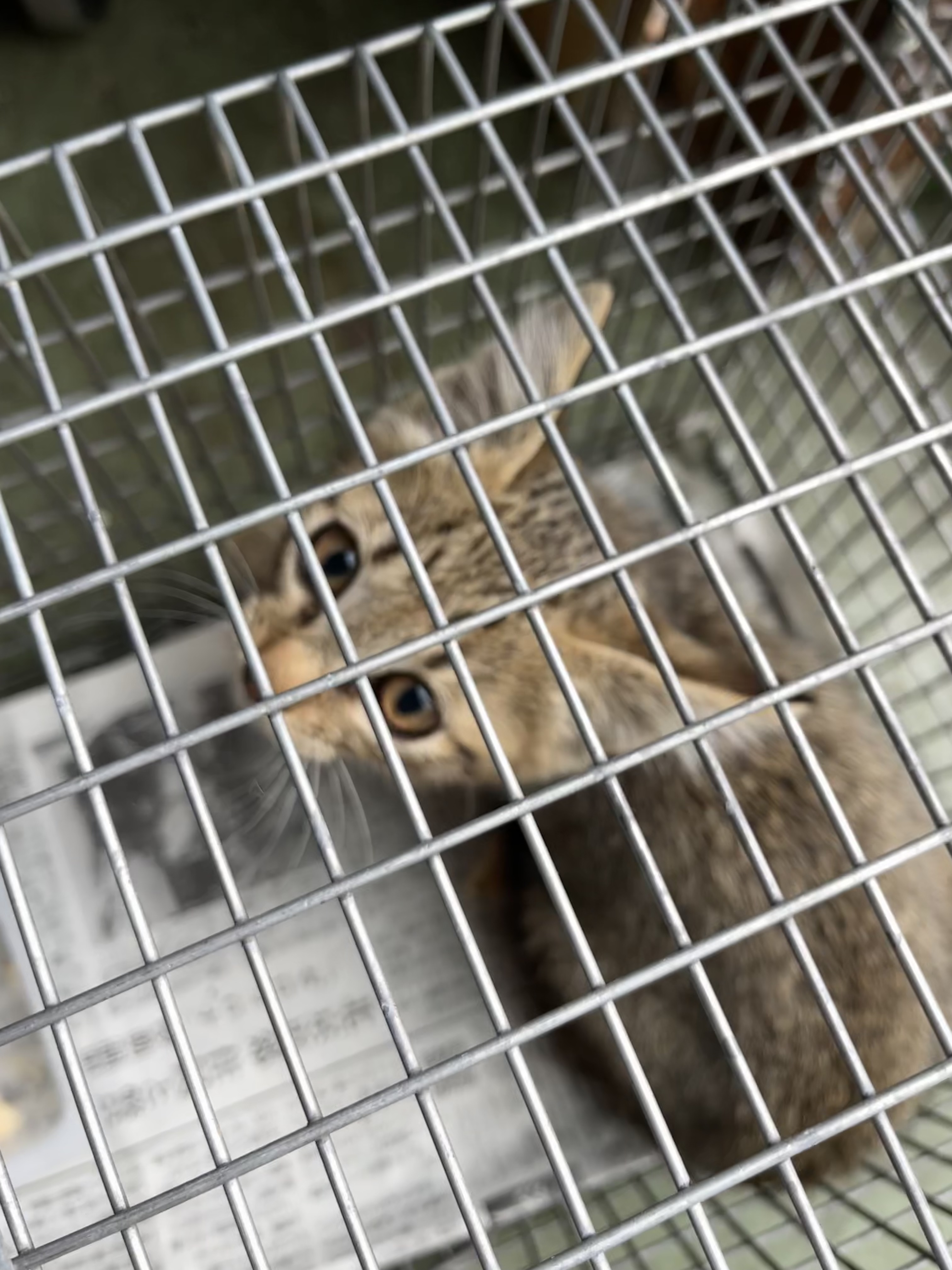 B9C5DFE3-E010-447B-BF2B-744E82FA2B98