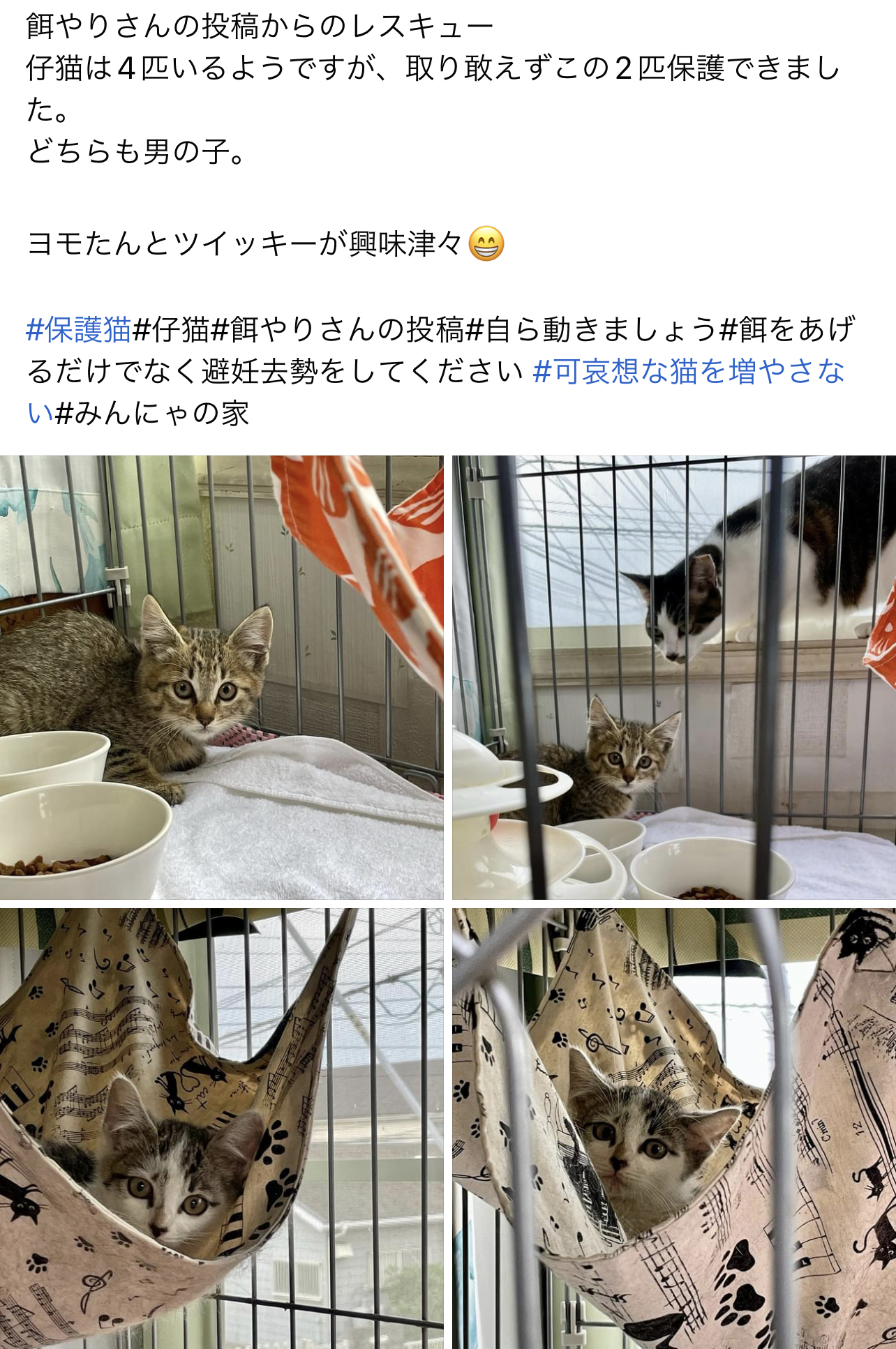 BCFBF7BA-73C1-40B2-903C-9ADCD9786A7B