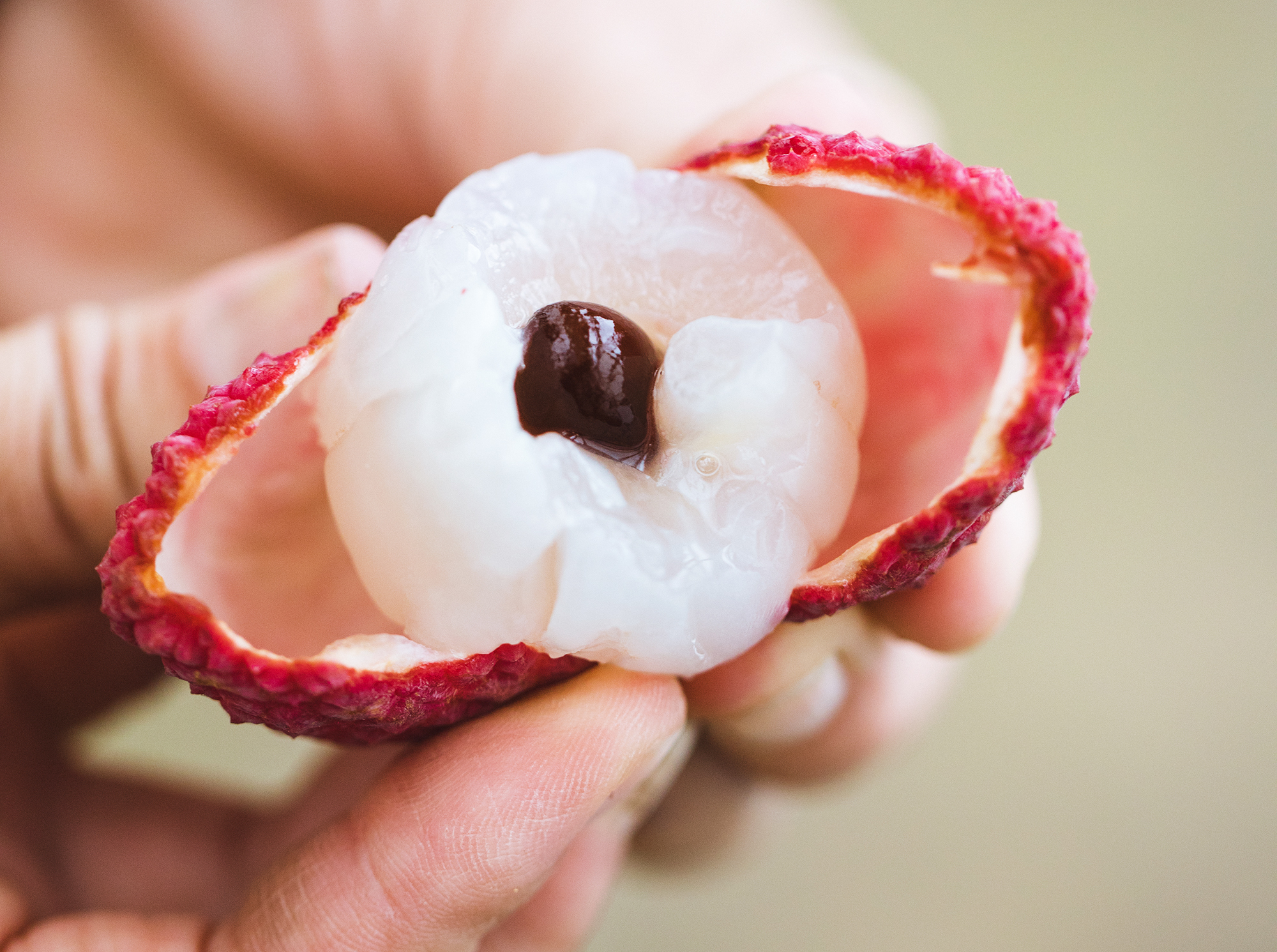 CDCA6C39-01B0-42D9-94B6-173976E005EE