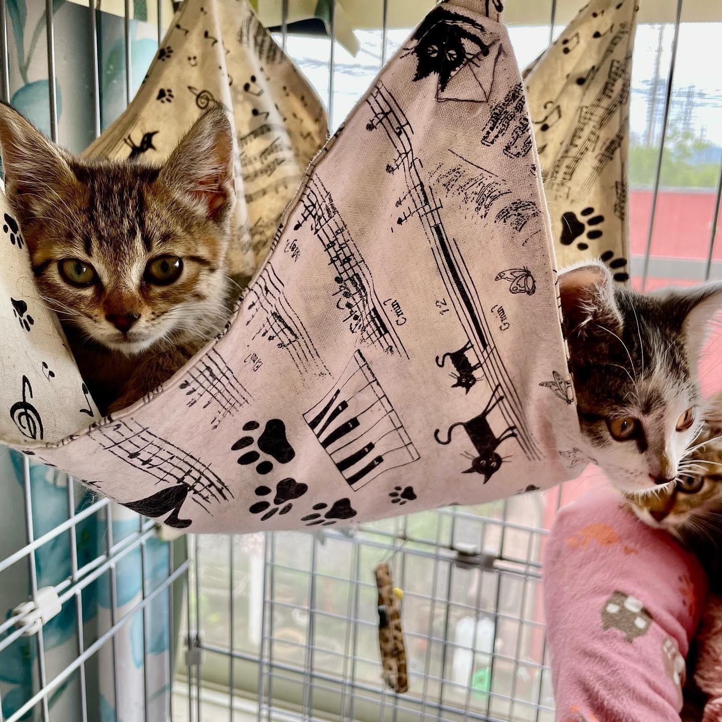 CE3E0839-975F-487B-AEE6-2799682CB6F2