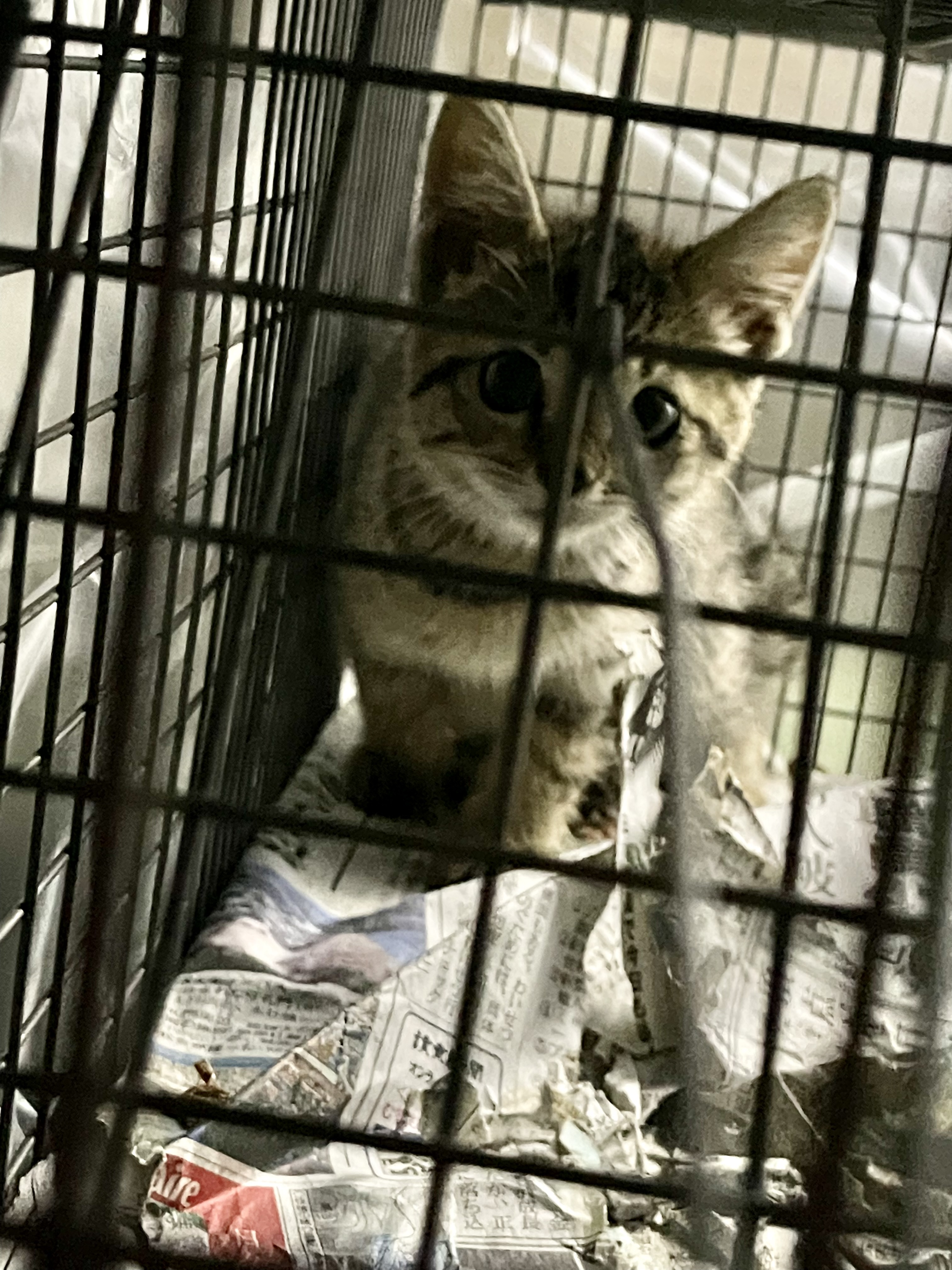 D591B86B-7D9E-4785-998A-AEB5ED20398A