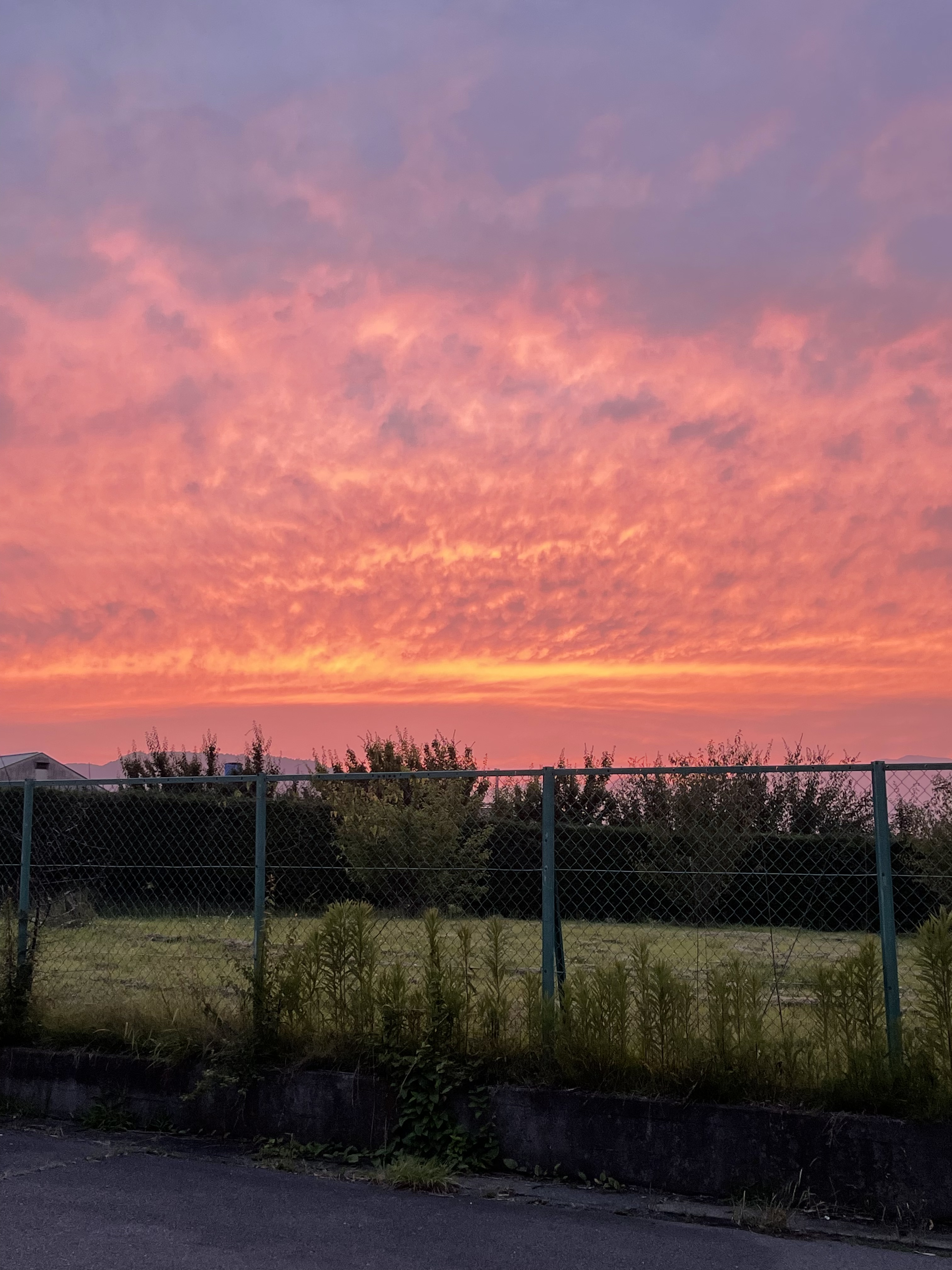 DC0210CF-0E7D-4B89-8A8A-3BD41F93A018