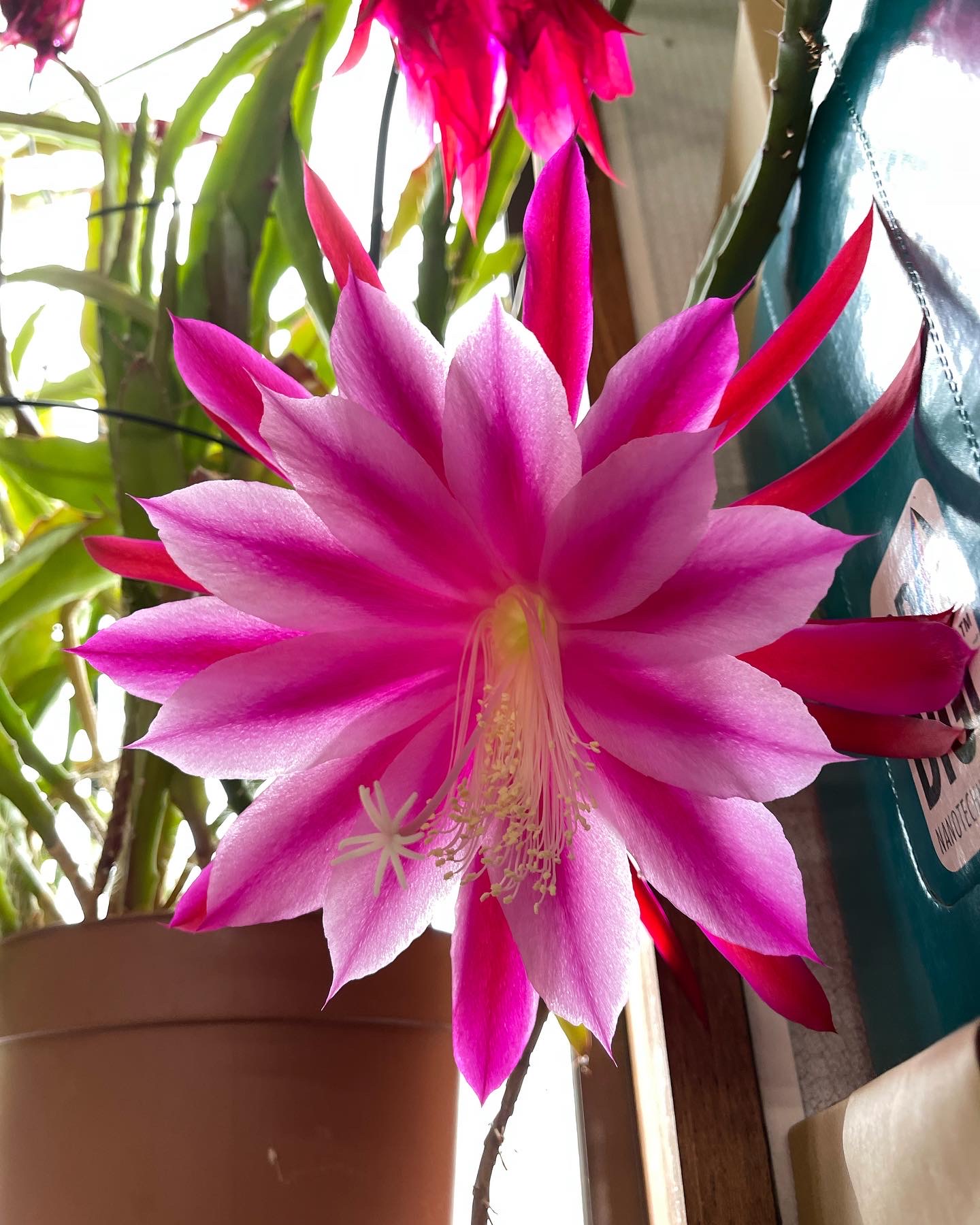 DCE7F1F0-1BAA-46A7-87B1-2031F19E351B