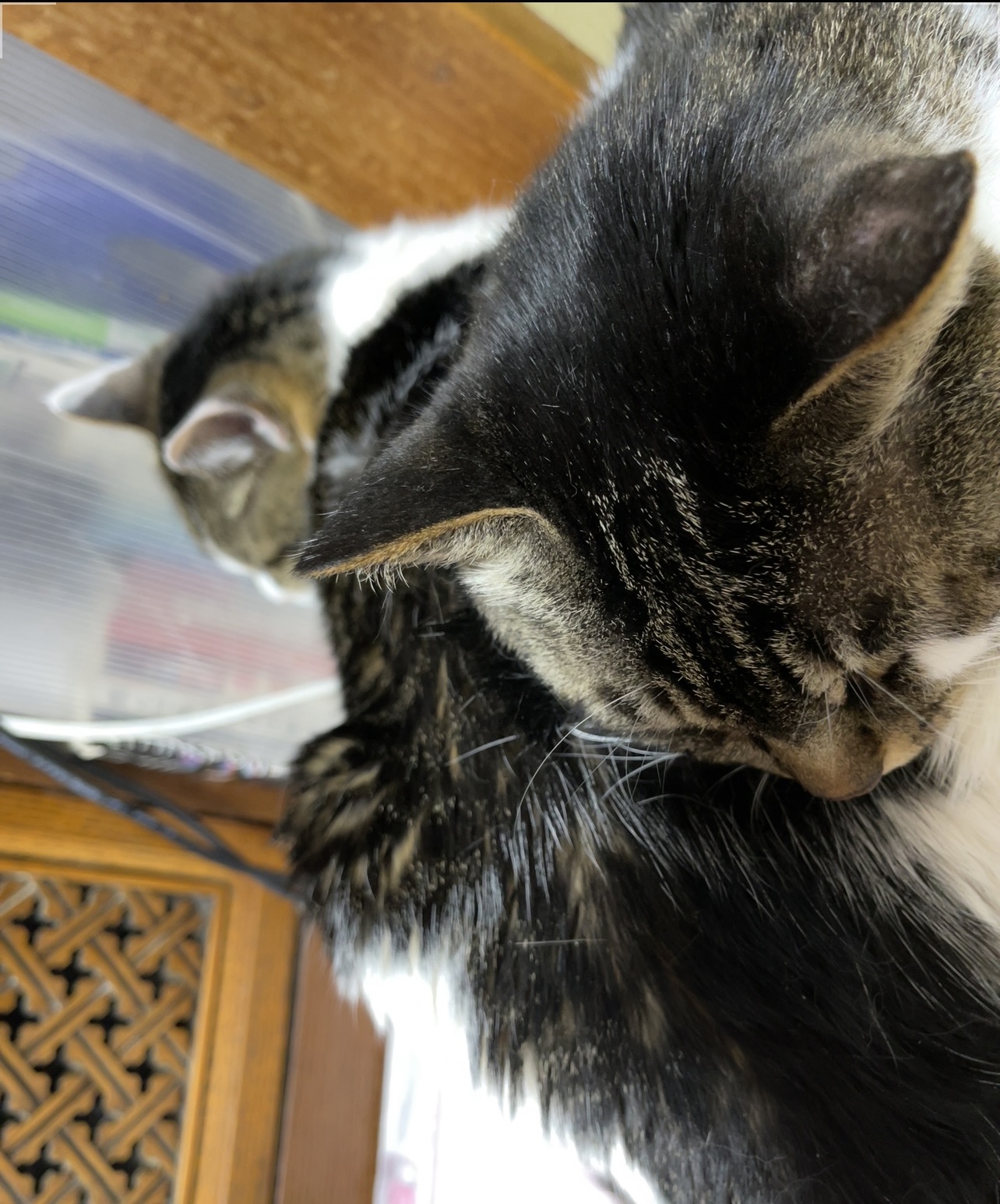 FFE77D0E-2F55-4457-AE56-D5C48721B588