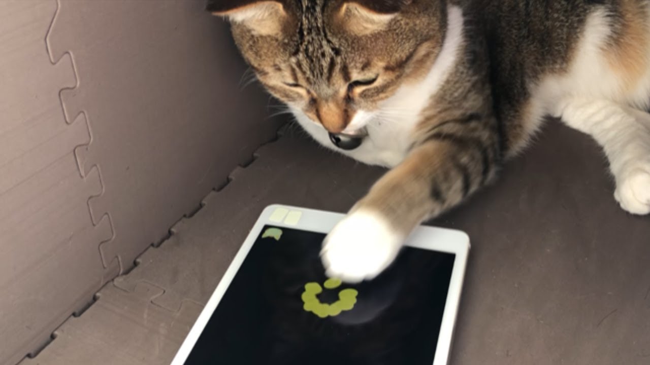 523F9356-C9E2-4E5D-9141-721ED9C0E4A3