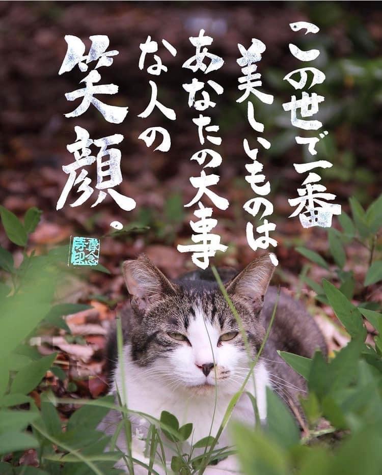 B1839F73-E75D-4FEA-BE37-5B46D332DF41