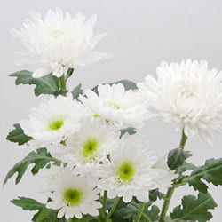 C9D45DC4-90FB-4092-83E1-E499D230D6DF