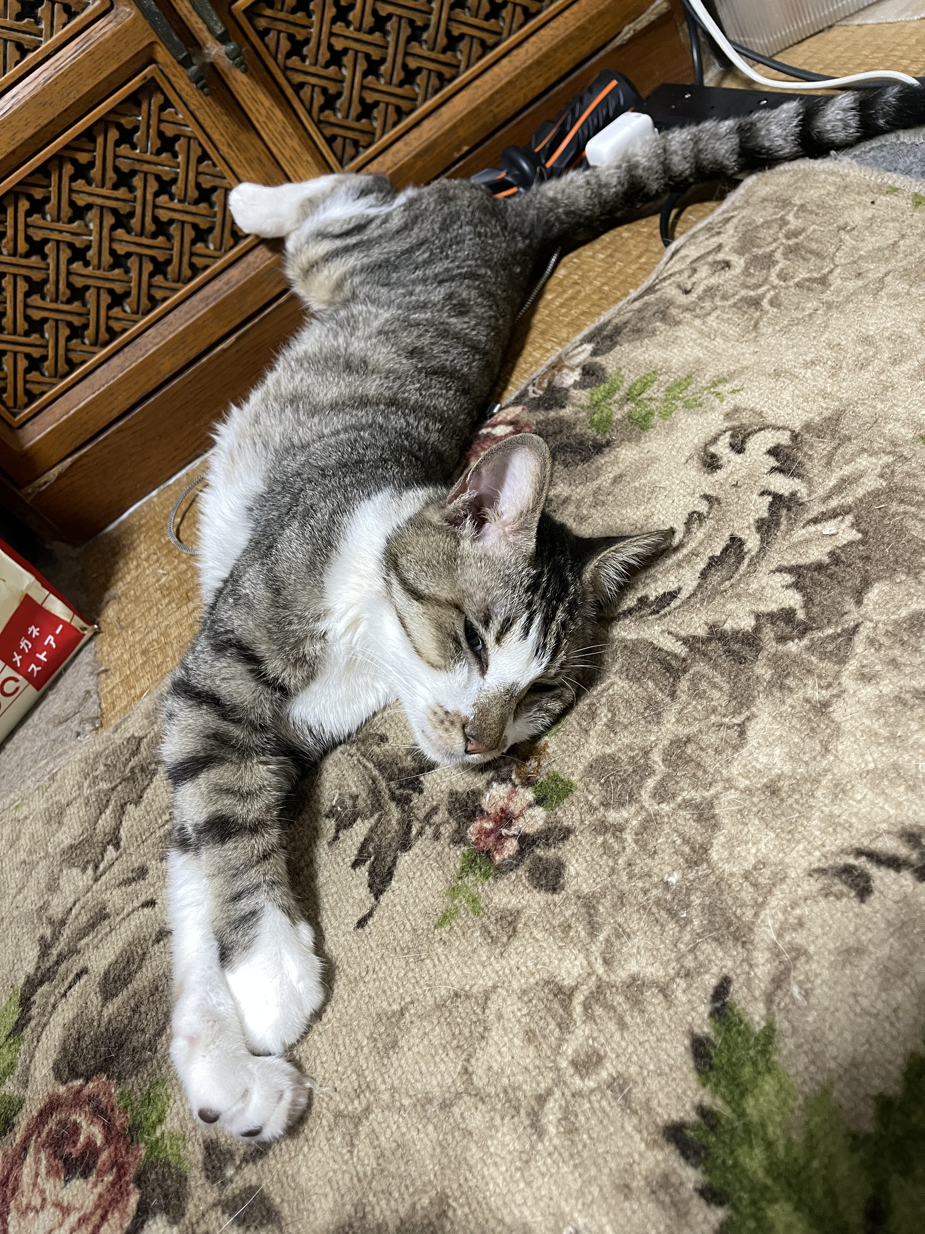 11DC65E4-FC20-47DB-A70A-3A17A043918B