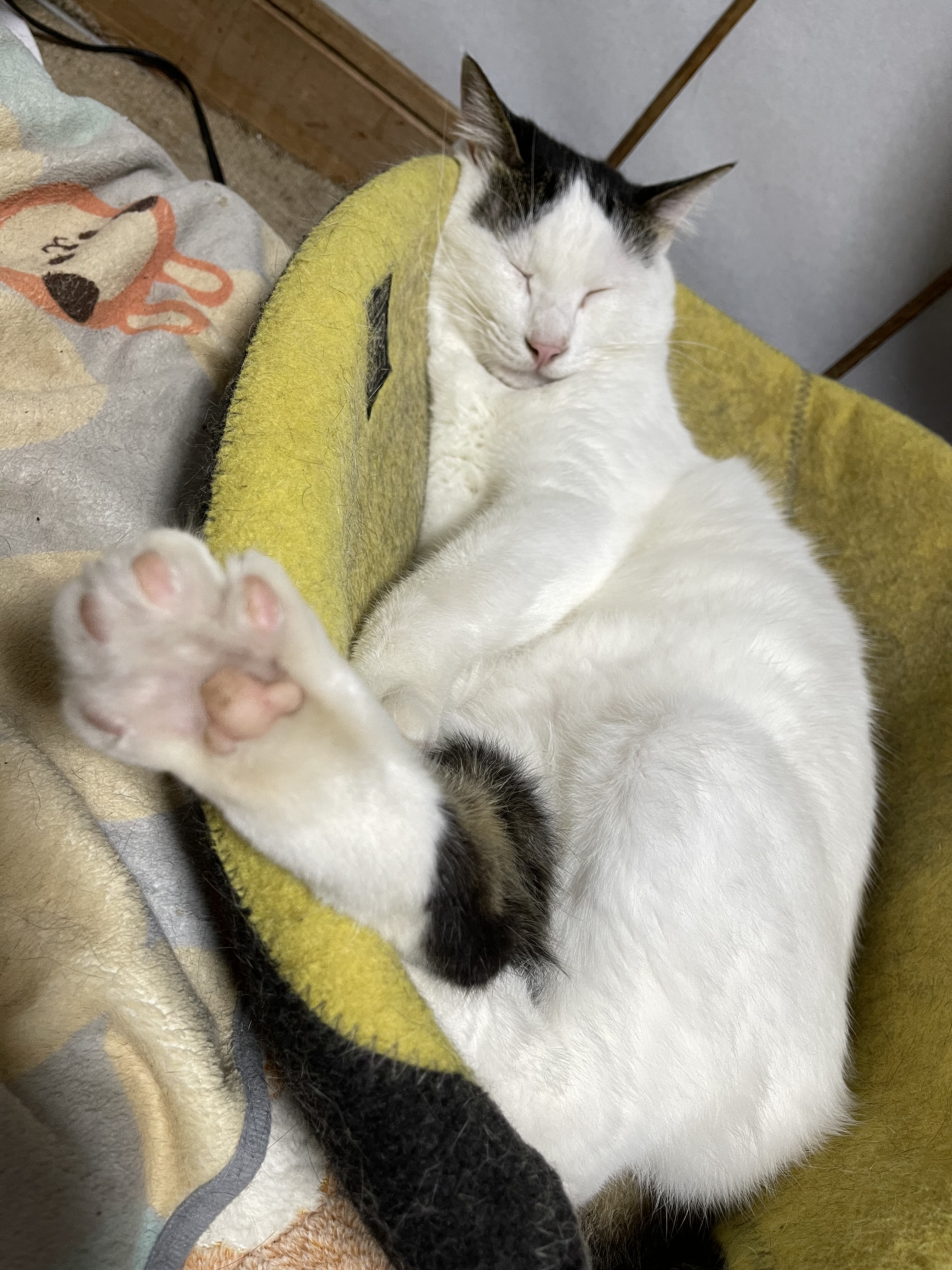 1470A164-0089-489B-B8A1-E466857957ED