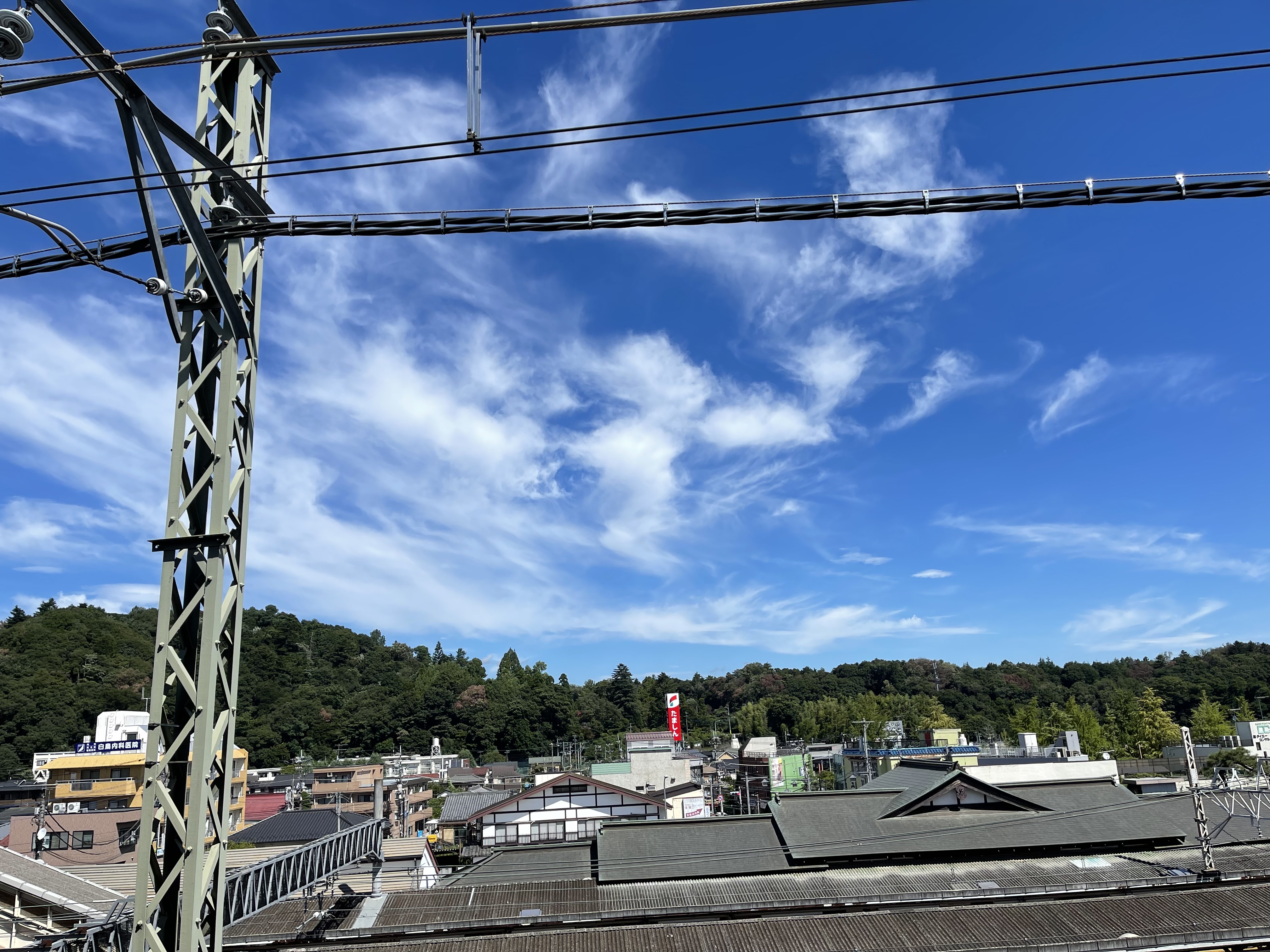 154FD61D-0183-41BD-9041-947B7F9B2707