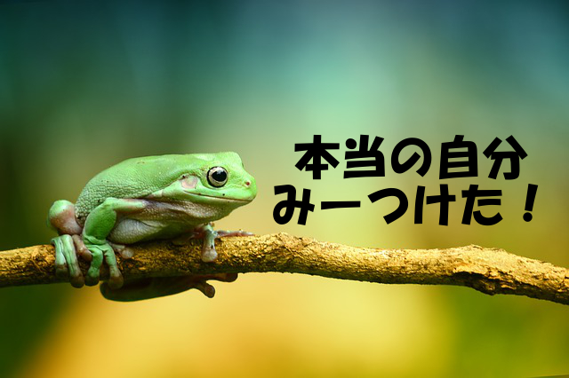 2794CEAF-F5C4-40C0-B1BC-BC221089ED31