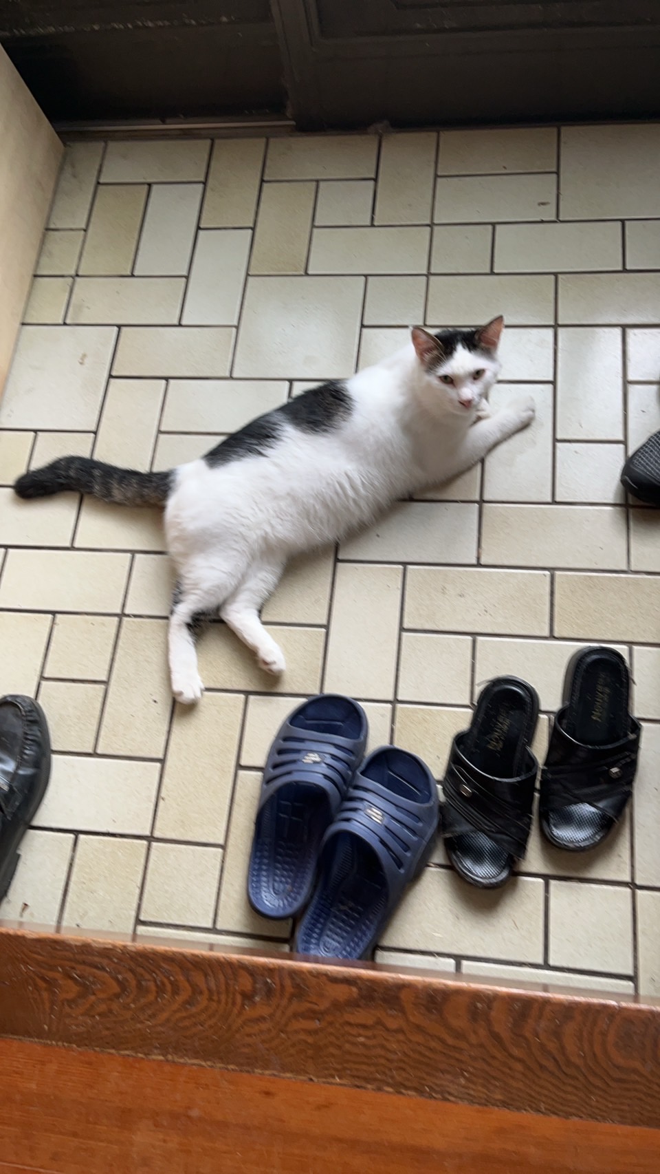 29DAA5E0-E0BD-4693-8681-DBCF37BB1ECA