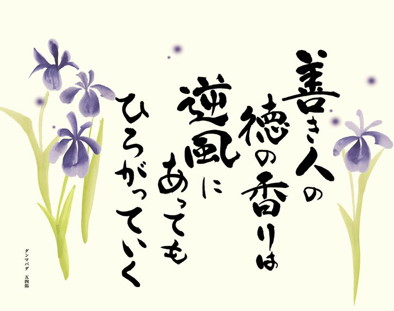 2DBD74A5-7D6D-40B8-AF2E-33DF7E093DE6