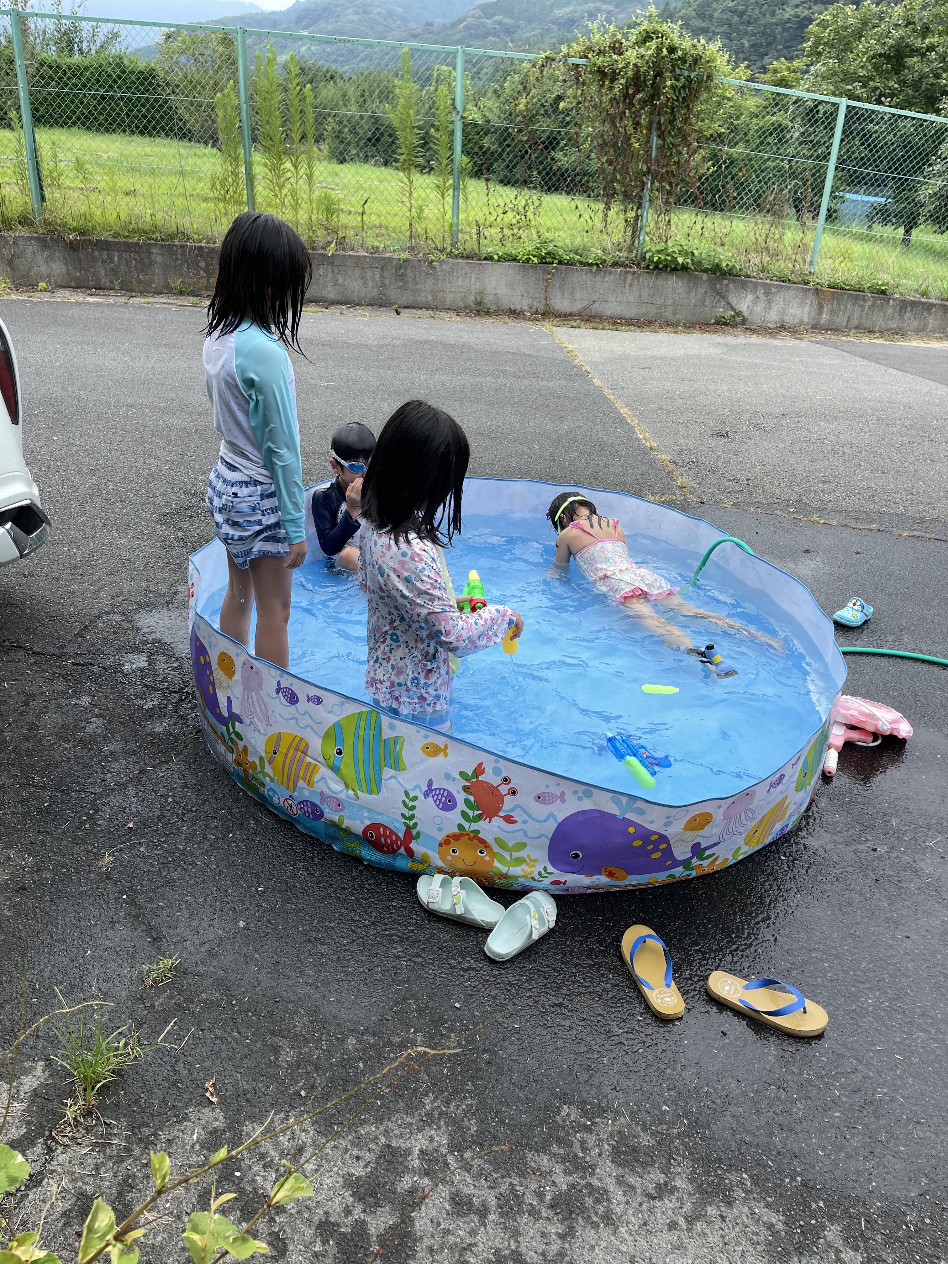 361288A5-4256-4A7A-B47A-EBC86A6BF6D4