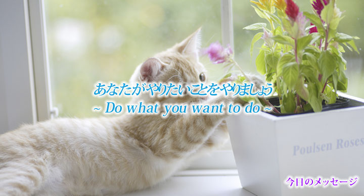 4EFADE8C-0EC7-4E8F-9244-7FEF7B73CEFC