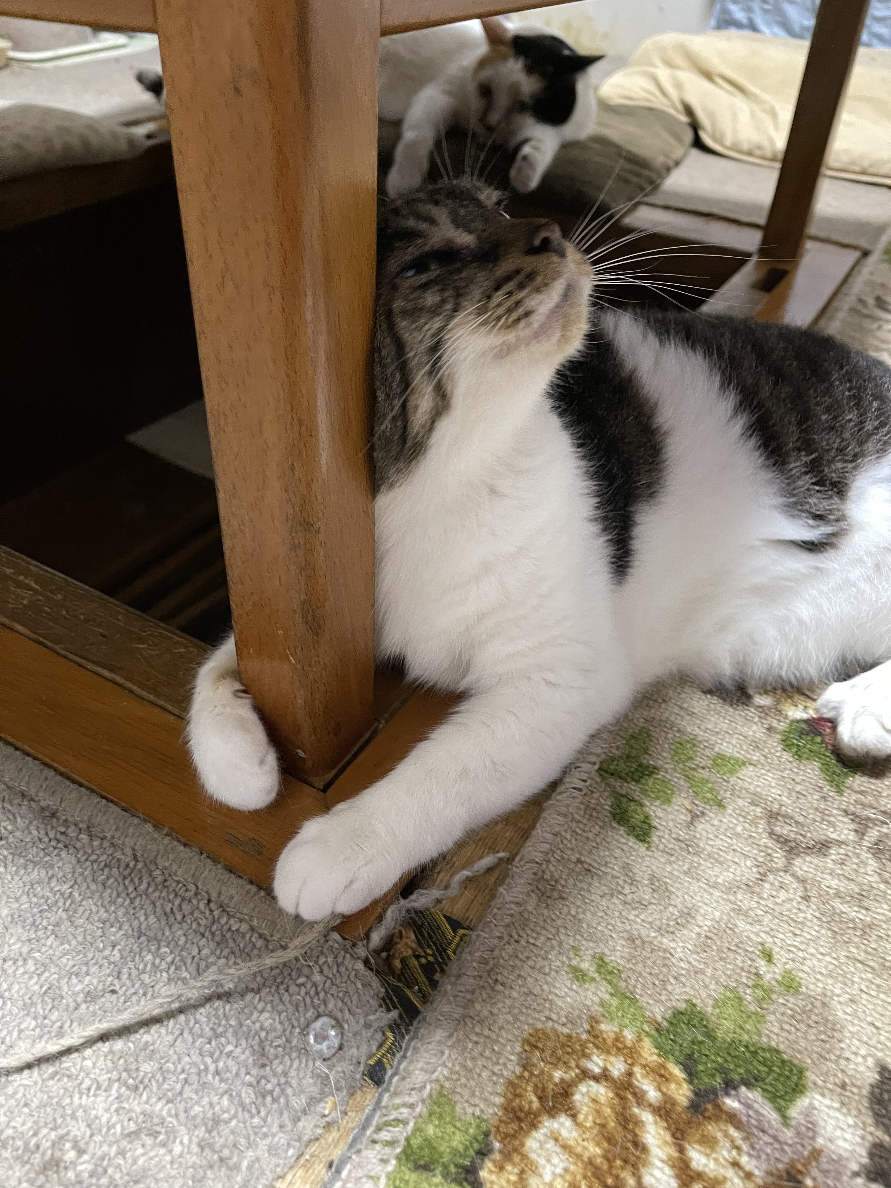 5A874CBC-BF5D-491A-8412-8F8505C393AB