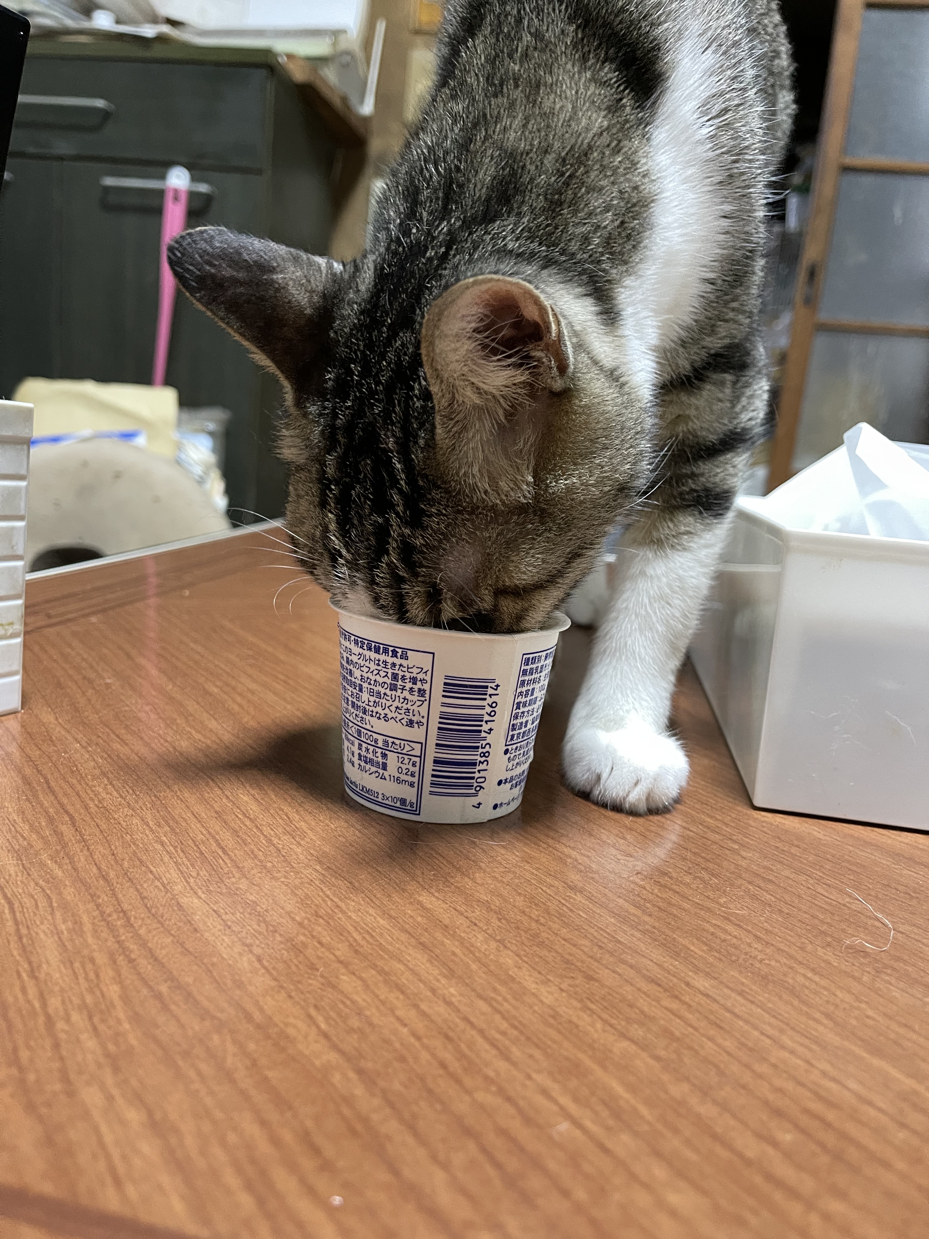 60CAFE11-4F8E-41AB-AEB3-D621BF578329