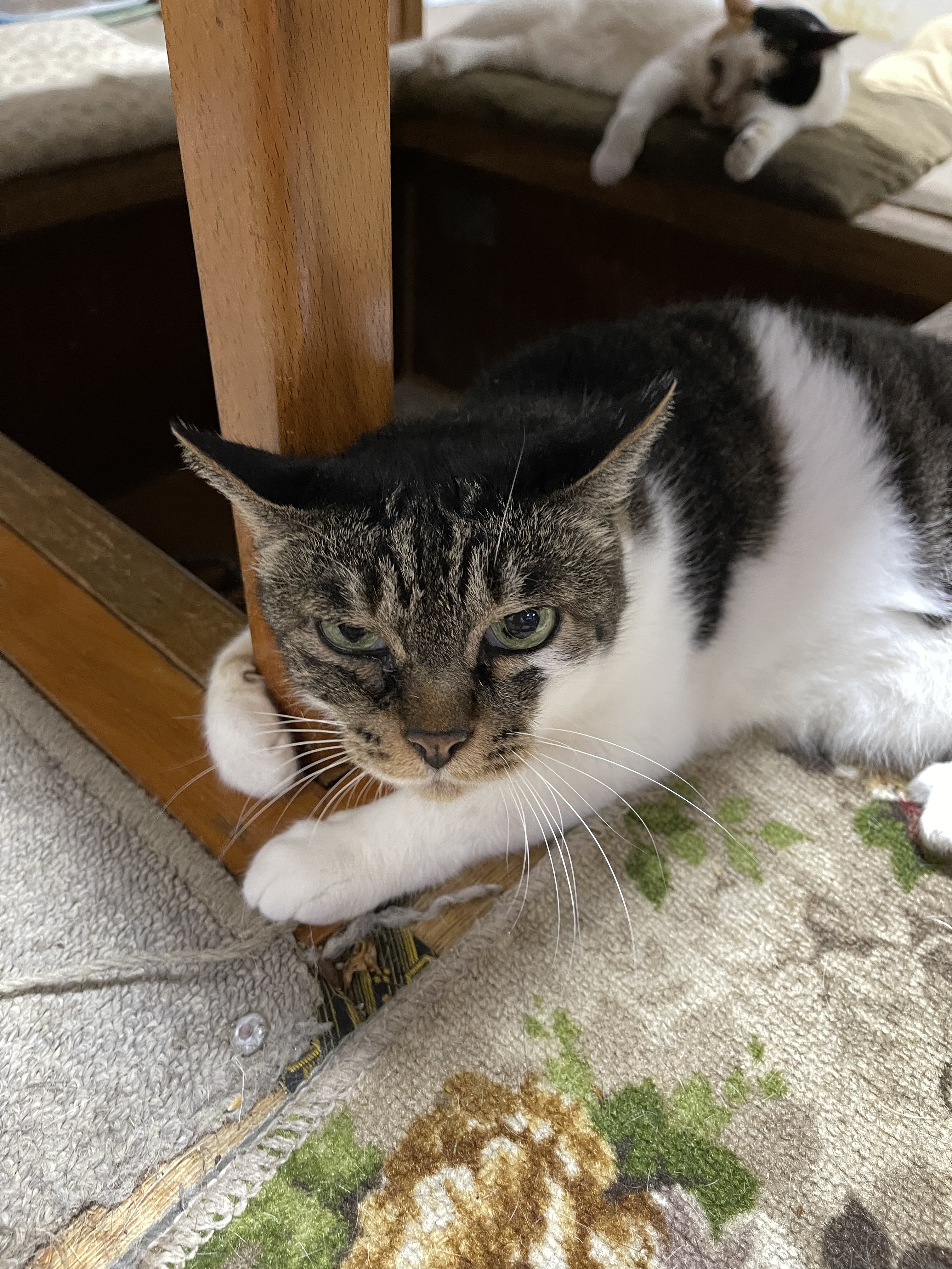 7BA6430B-02C9-4865-B699-F468CA4CCA5F