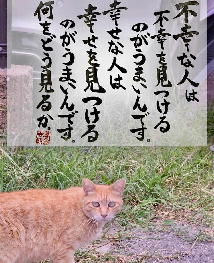 7C10AD3B-06CC-4670-966F-79DD9684F535