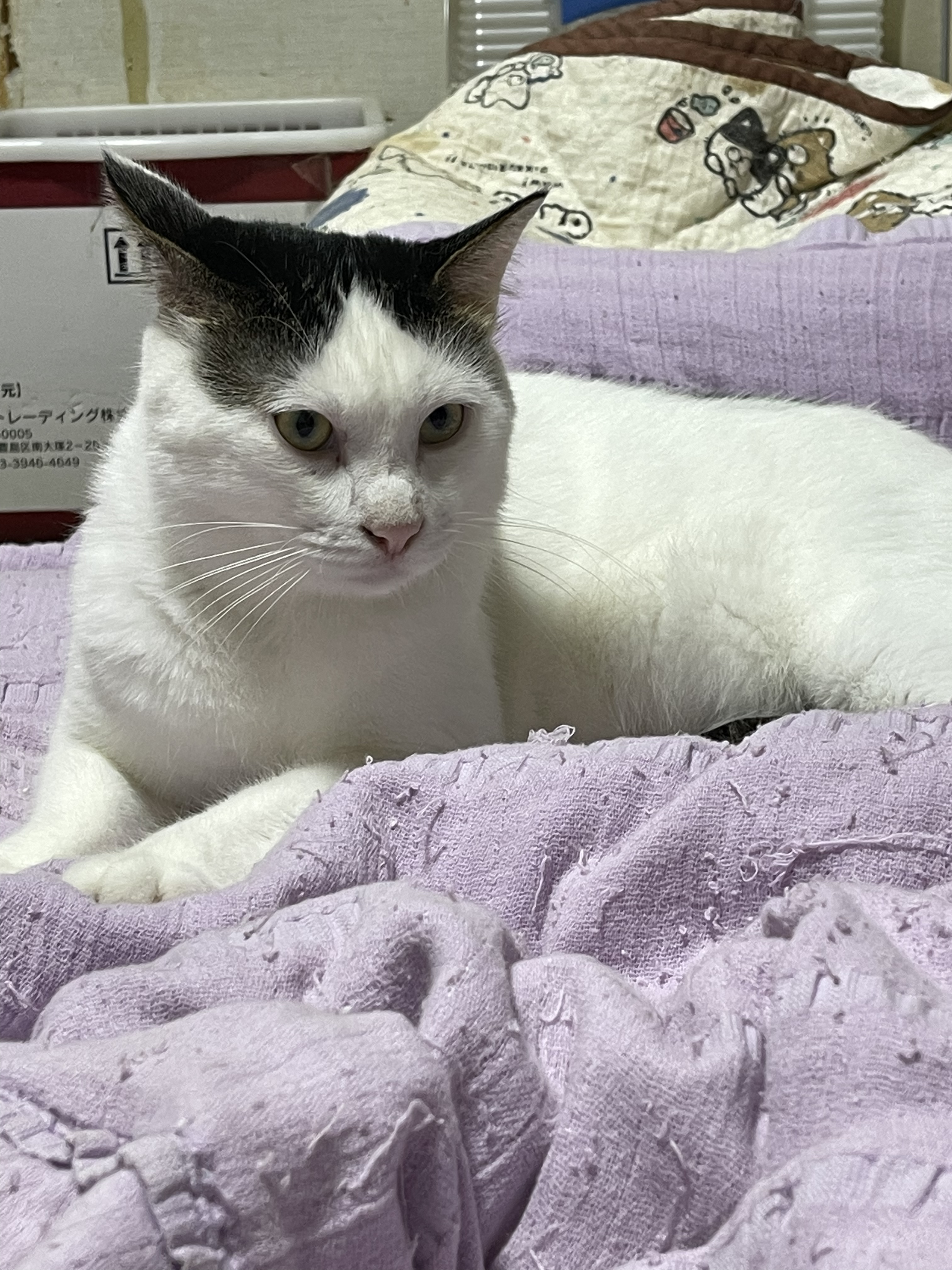 BB0D4226-8EE7-43A7-8833-59E0B3C92139