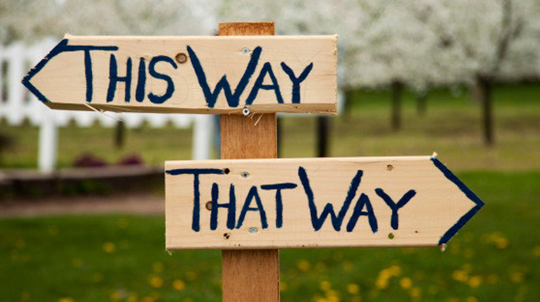 D78B89E7-E01F-45E7-80B9-FB355B85F238