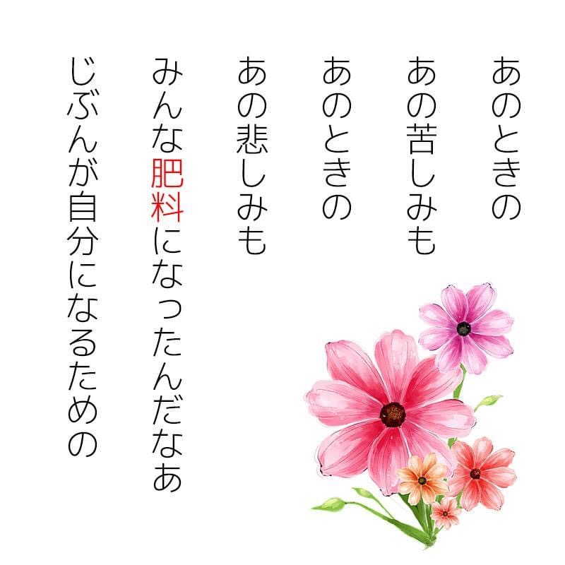 E25E61BD-E8C2-4B3D-A0D8-39E5042A7711