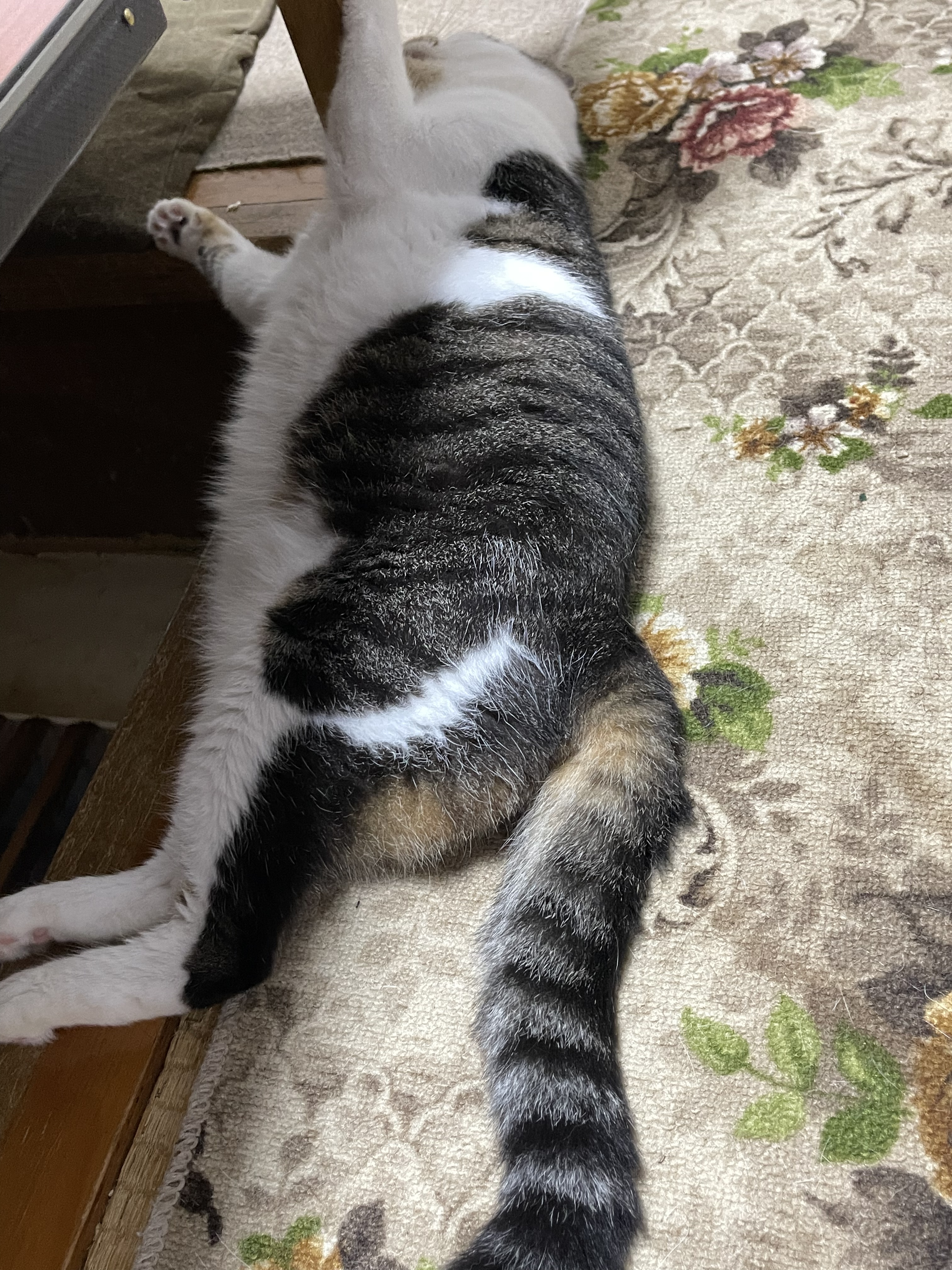 F2C60868-A1C7-45C7-BD2B-1D77FA8E680B