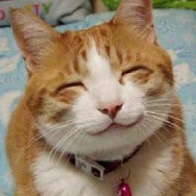 F9F92003-281D-4090-829A-3100C3D633D3