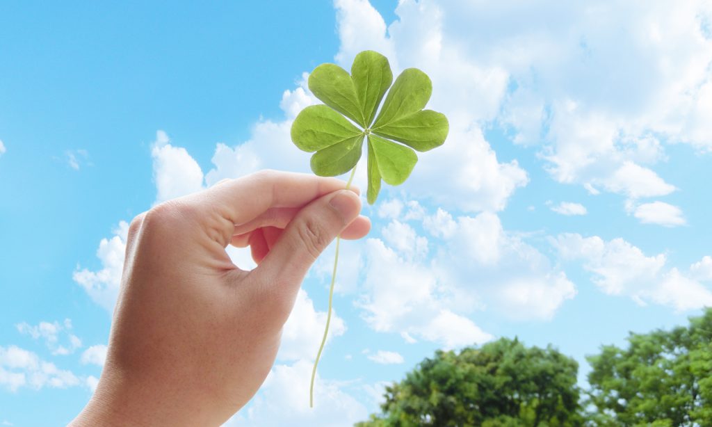 1C2BBB8B-5A19-4FC7-9D50-422950432CC1