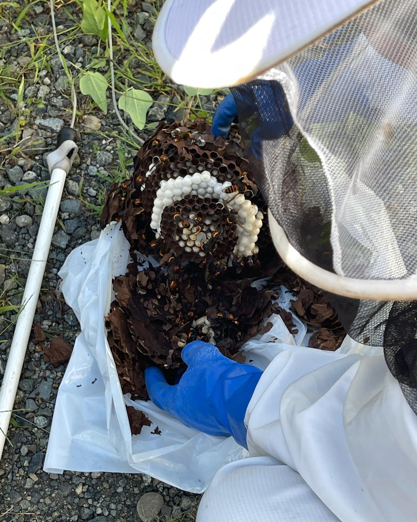 35FF87D4-A712-4EAA-AD49-1CFA6773674B