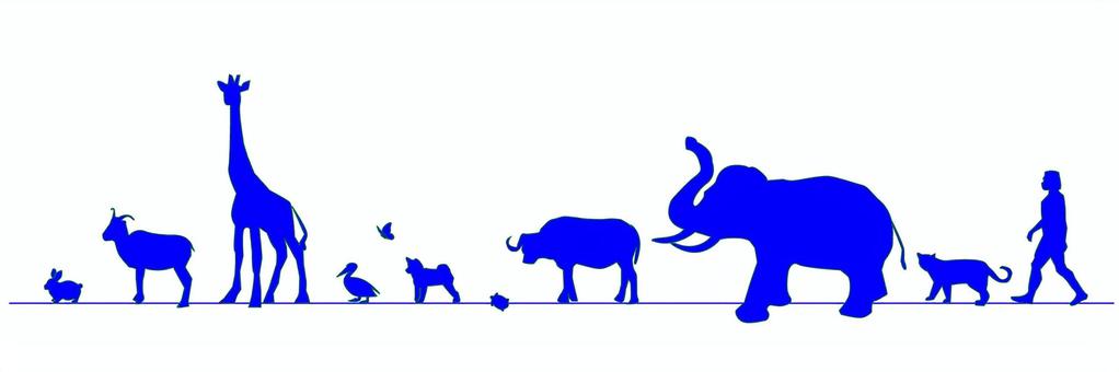 3BEB4F65-0A63-4AF8-80AB-FE5947A26E43