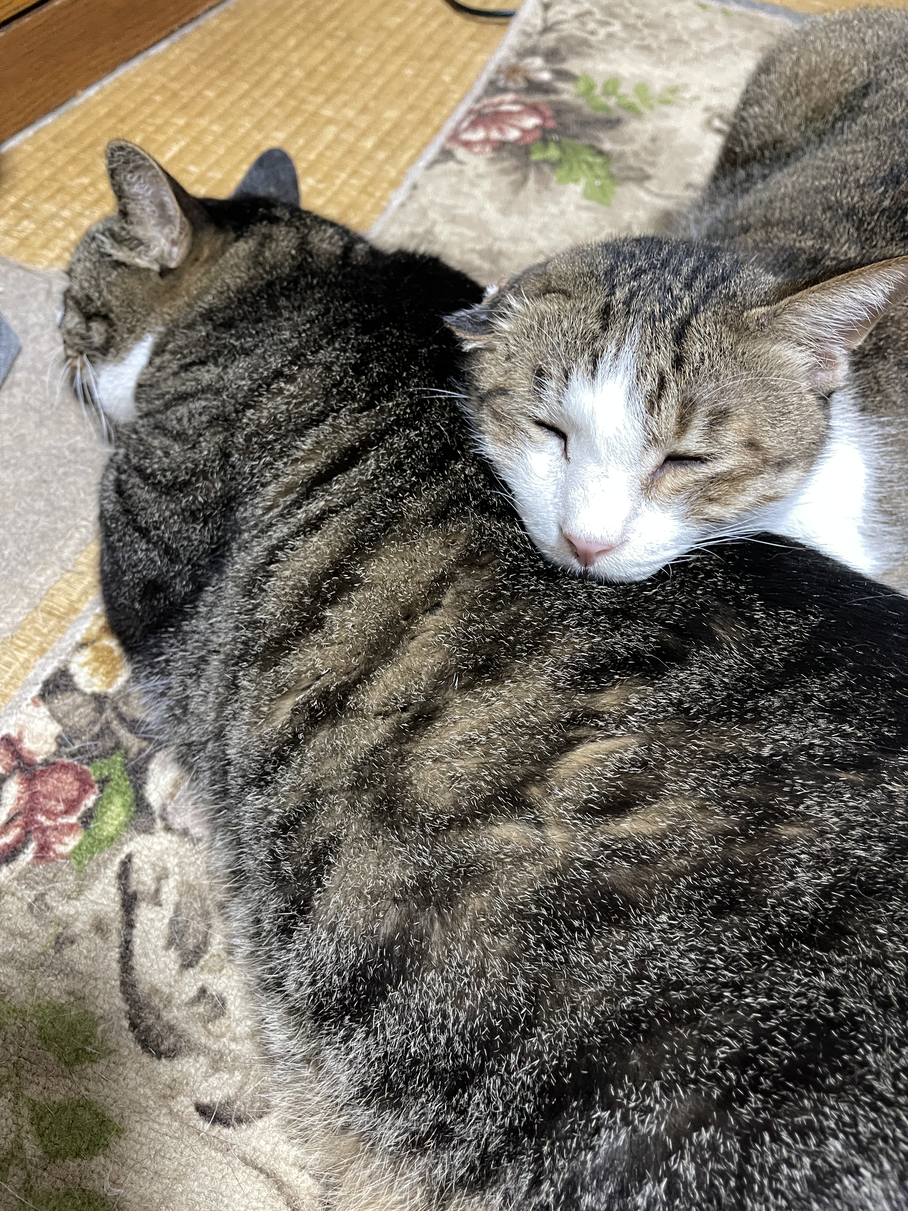 56DD09C2-ECB1-4C57-BC53-CA88ACE911F9