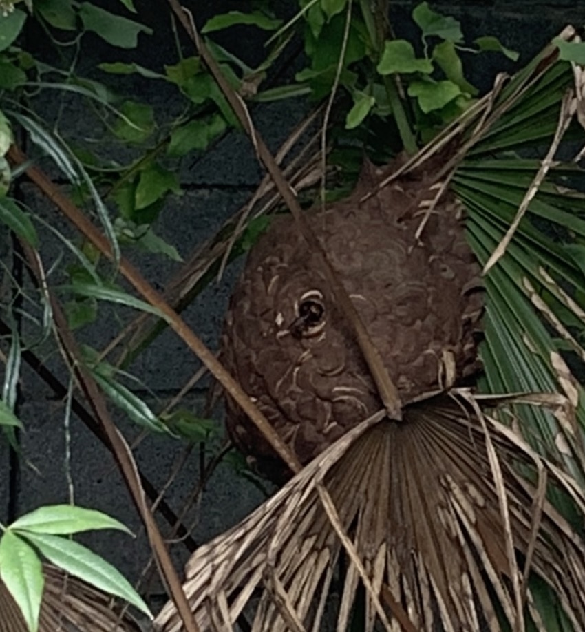 5EDA92A7-85DC-4820-9AFE-EF9C7C26AE8C