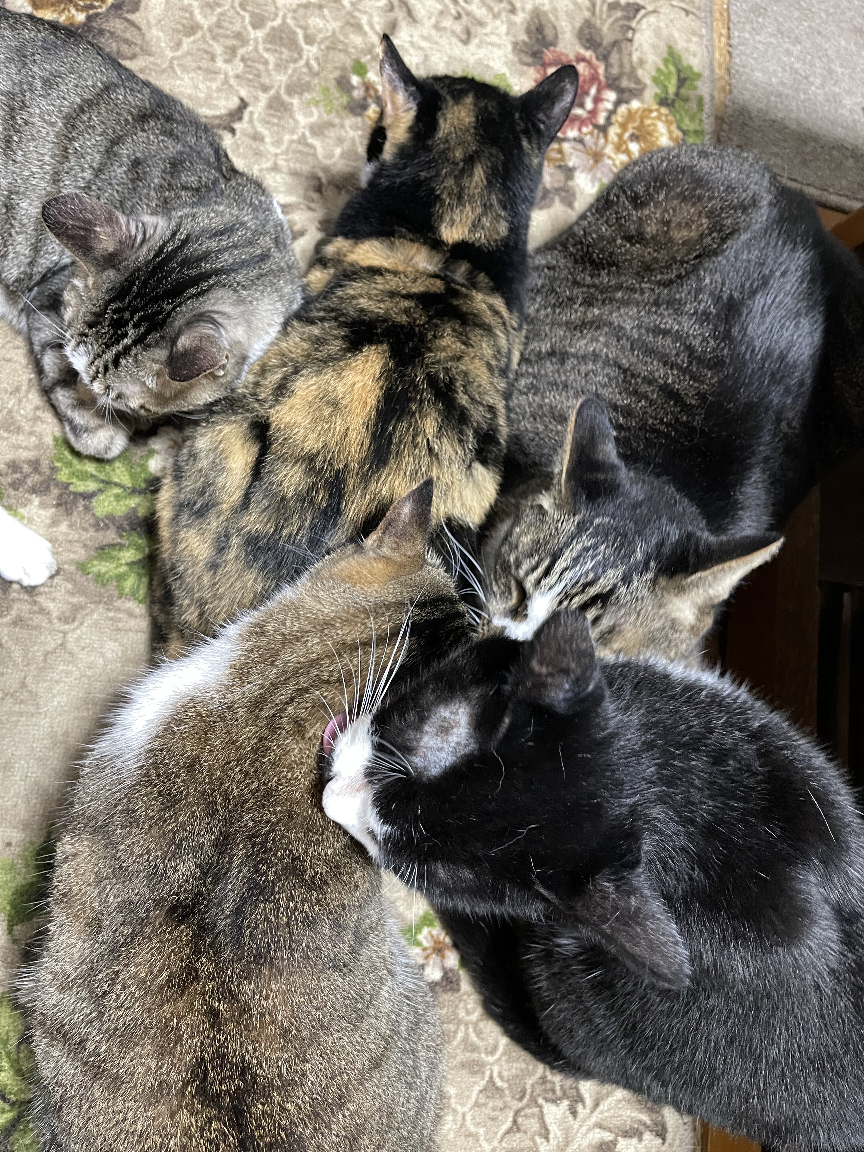 7EF89A55-2868-4494-B863-72FEE530918E