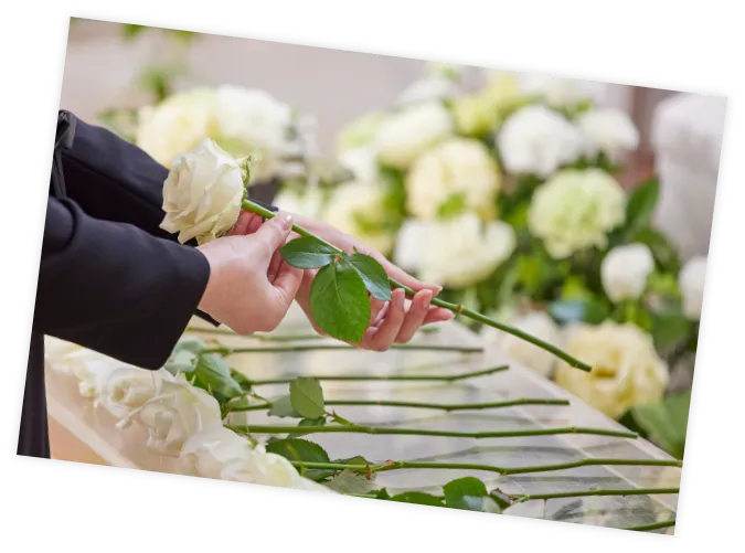 B22DFBC2-3F7E-4D67-A645-42F78C8912A1