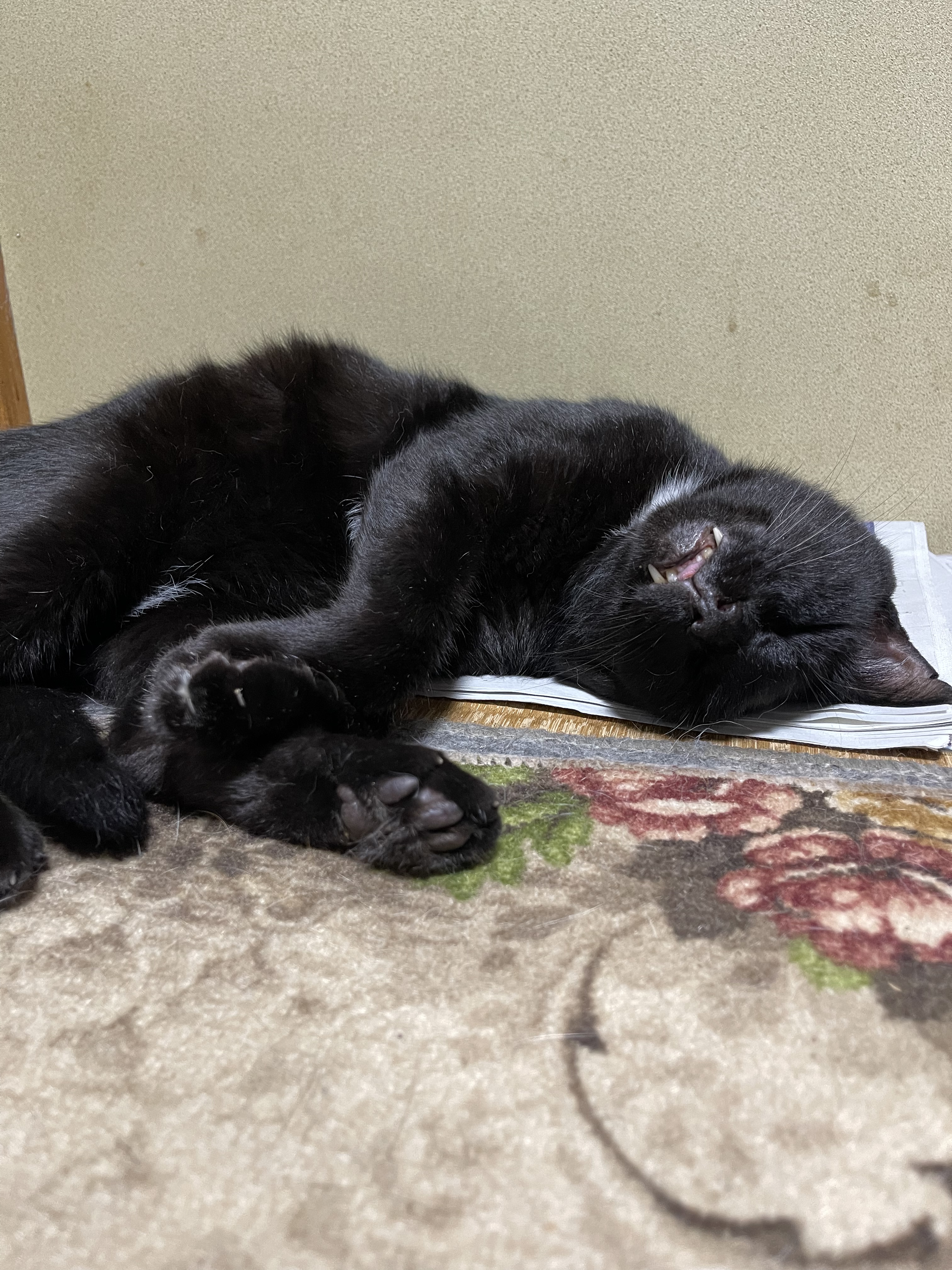 E3760CB9-8C38-46E2-B159-378C62DEF419