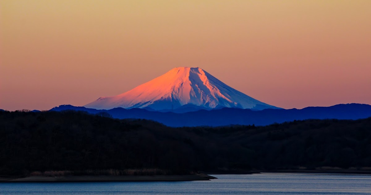 F9AABB73-78F8-4E5B-9517-D58EE22C2548