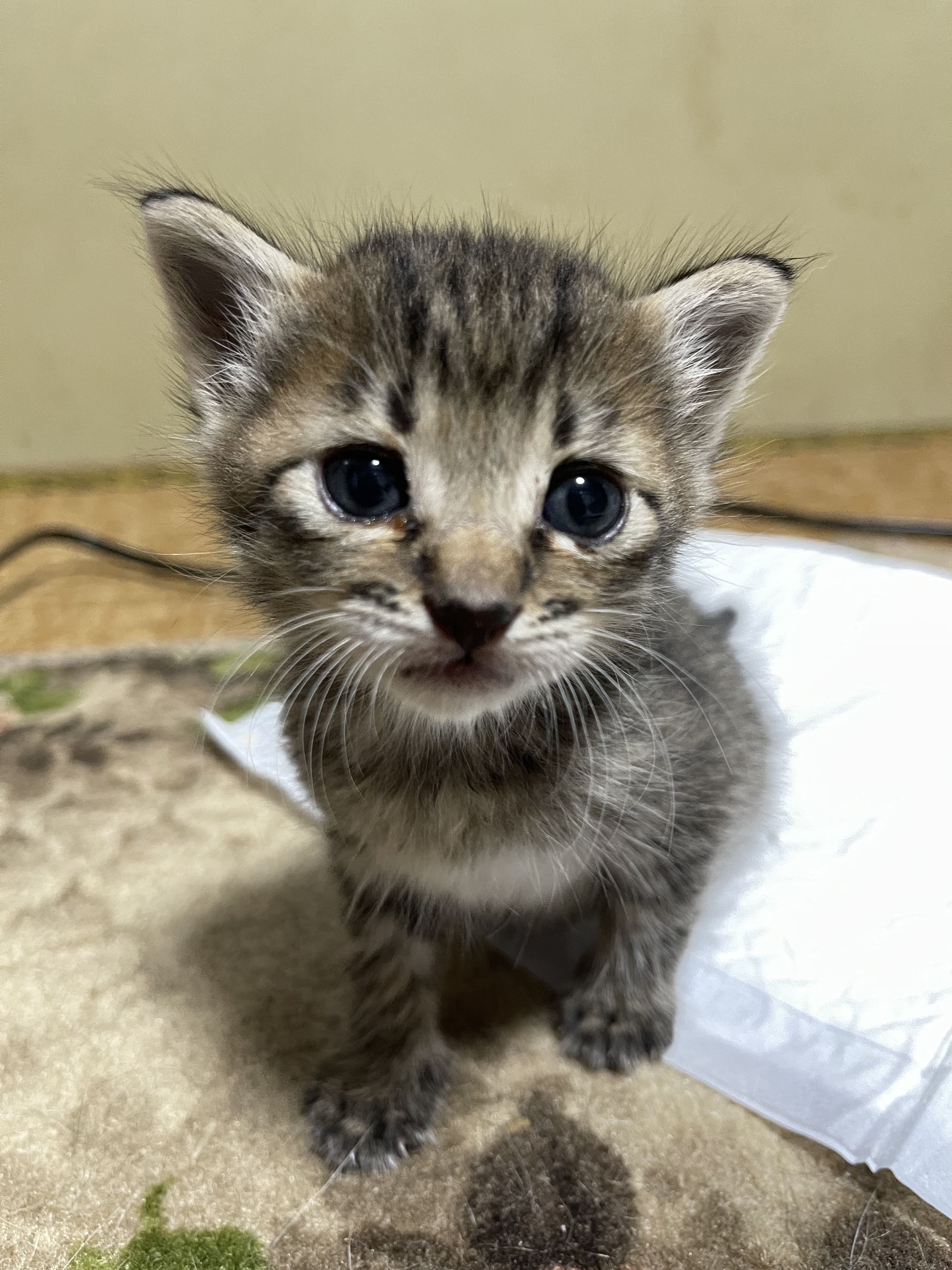 02FB0D62-648C-4FA3-8B87-C62825E425DB