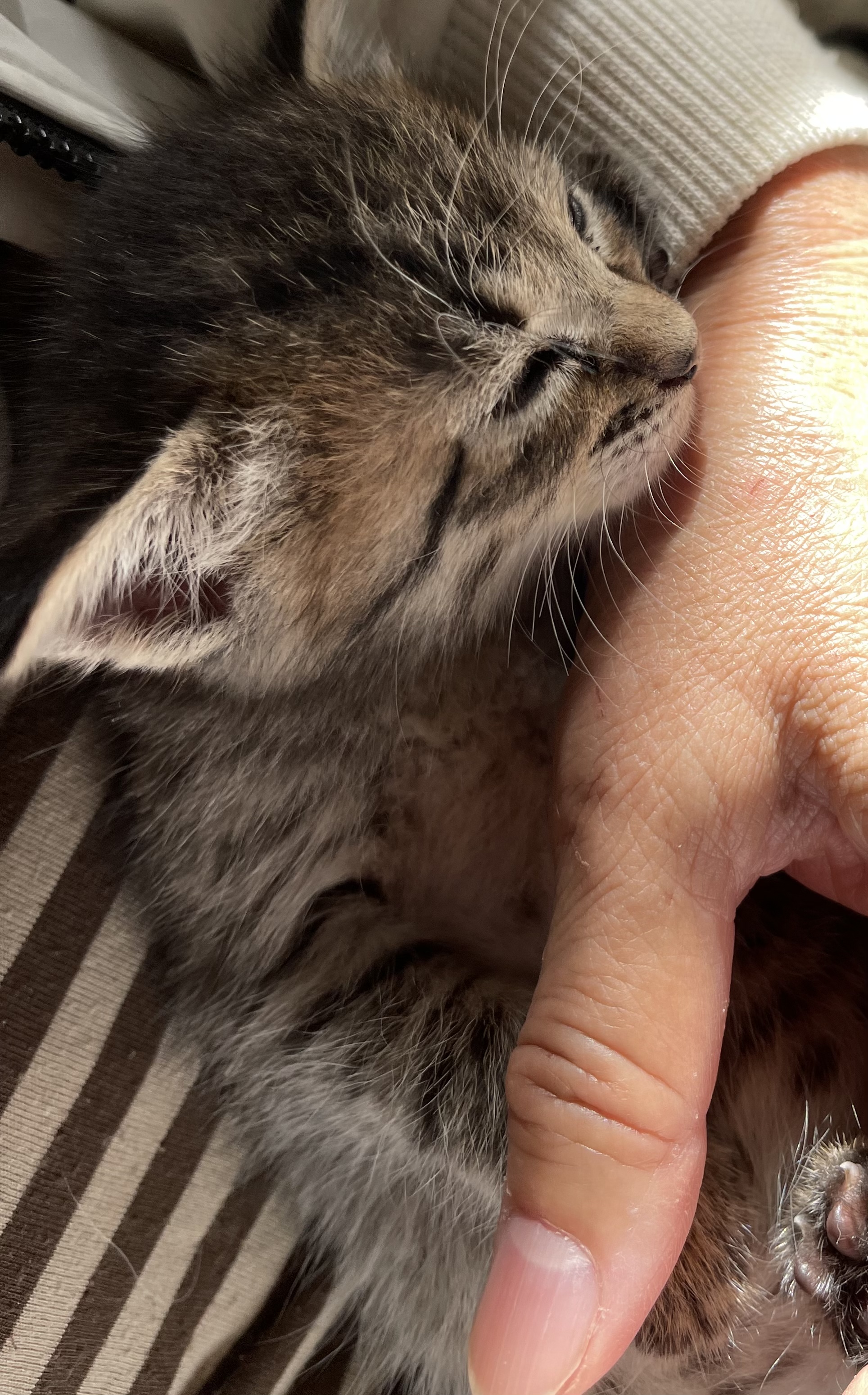 1C9210E2-2267-45A9-B83F-06B080272C78