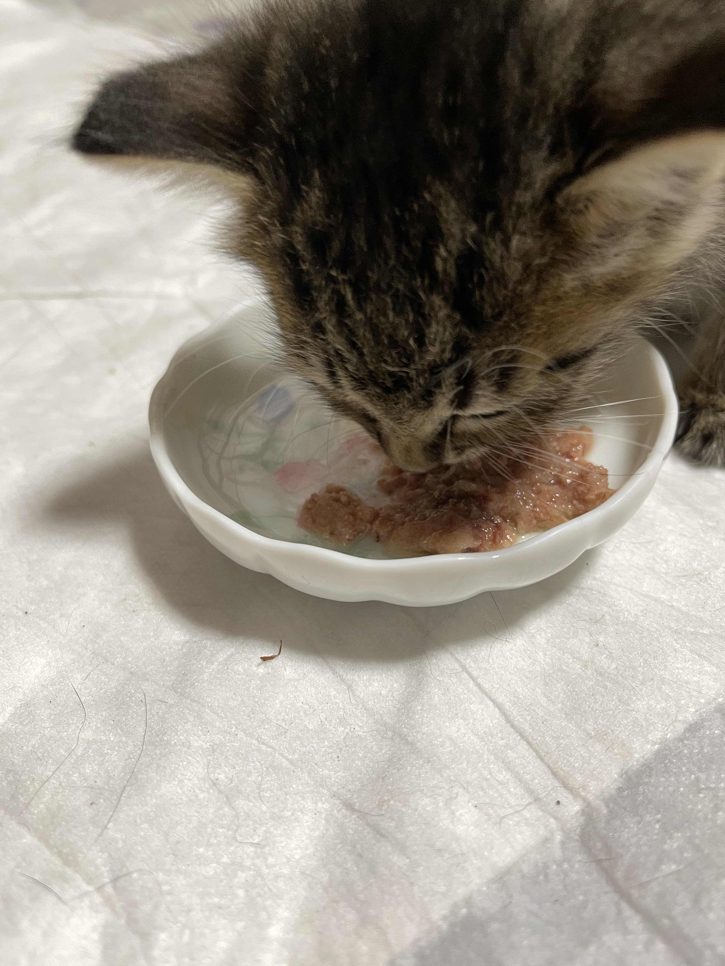 380221ED-BBE6-4C09-A395-2F15F2816DAF