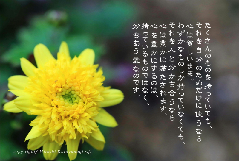 55EE16B2-18B2-49F2-BC06-CF68E5D2D5A1