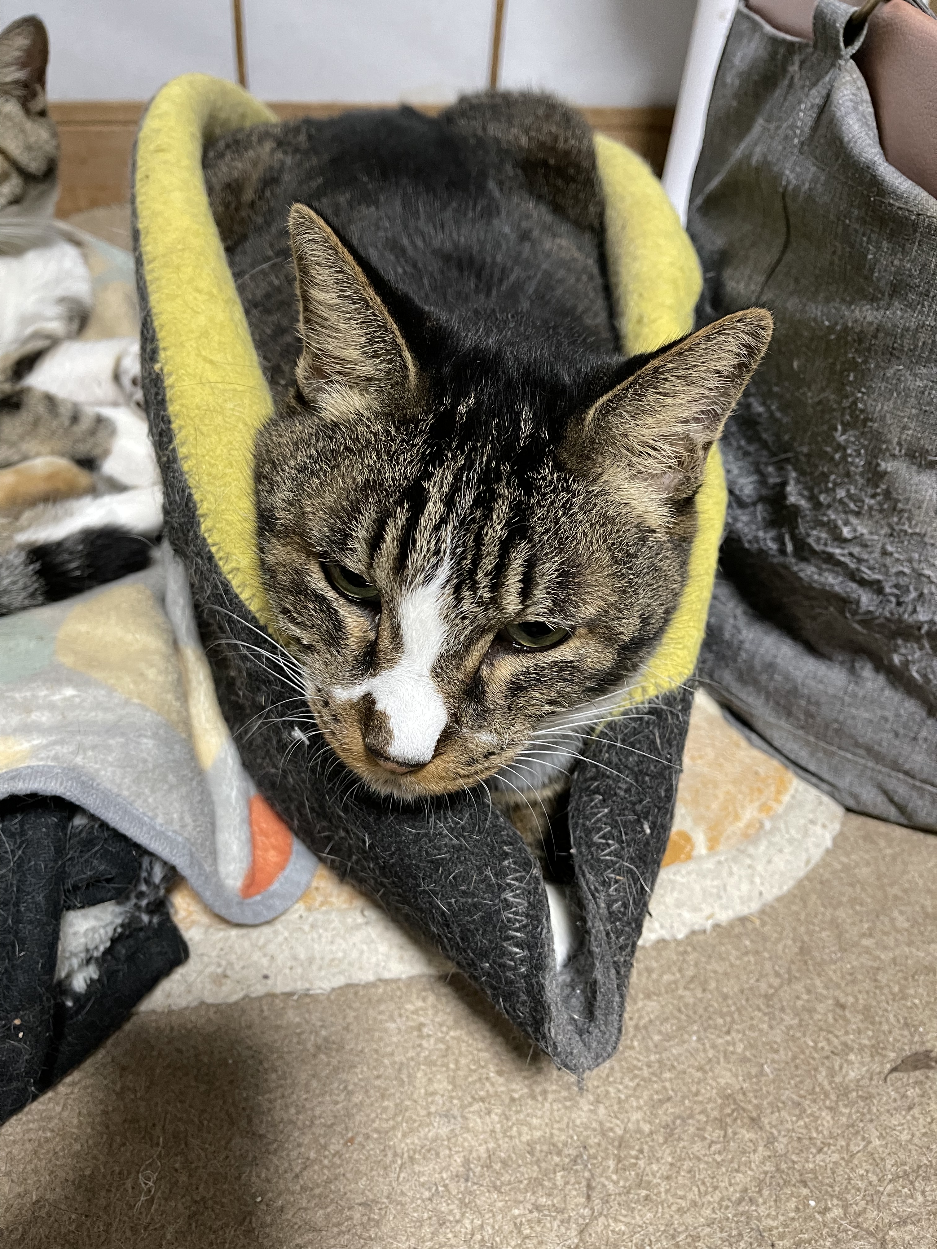 55F5AAAC-D087-45FA-8816-3B814265AF68