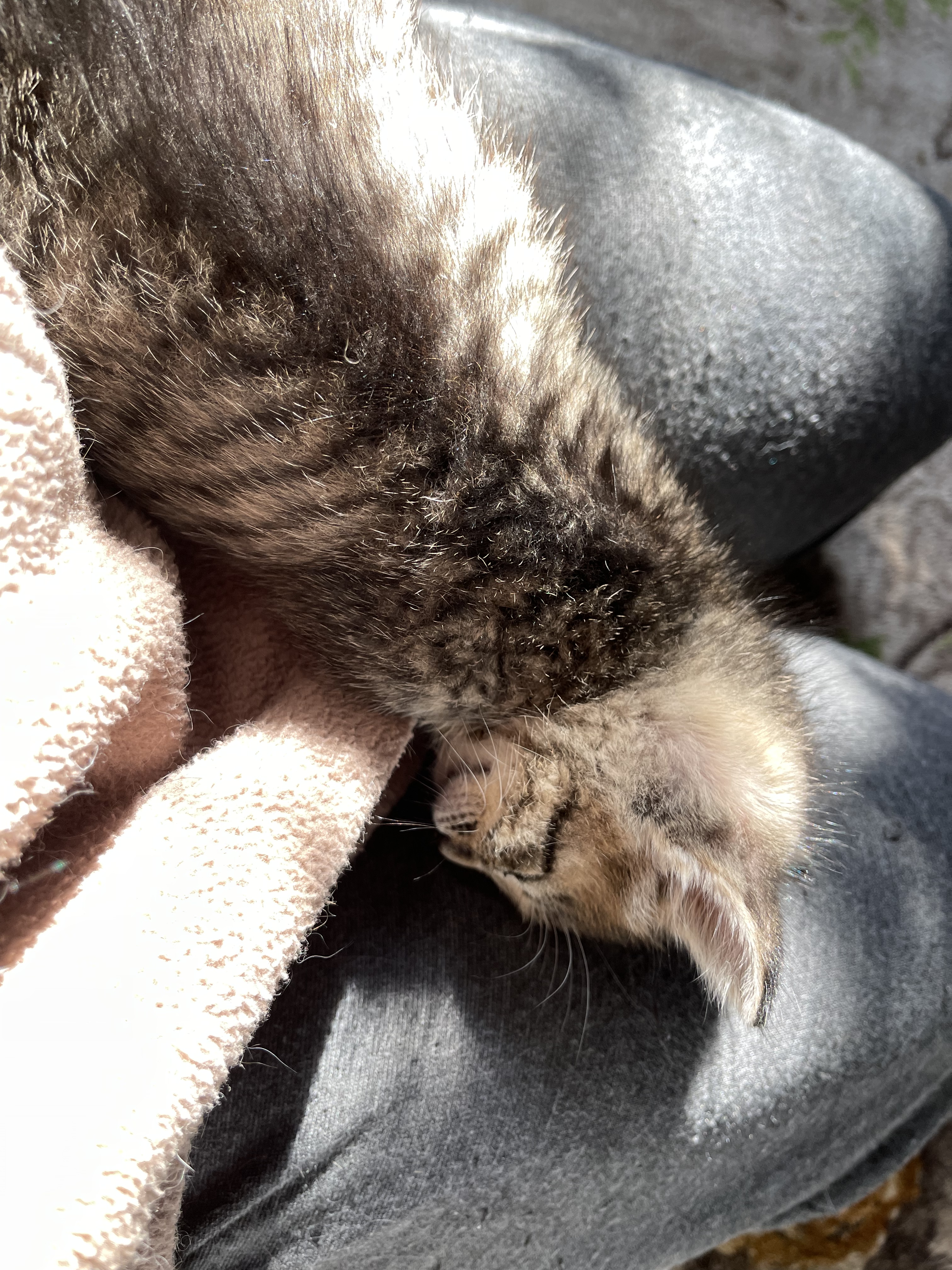 718F7127-5A91-48D4-946A-81FC0A535D9E