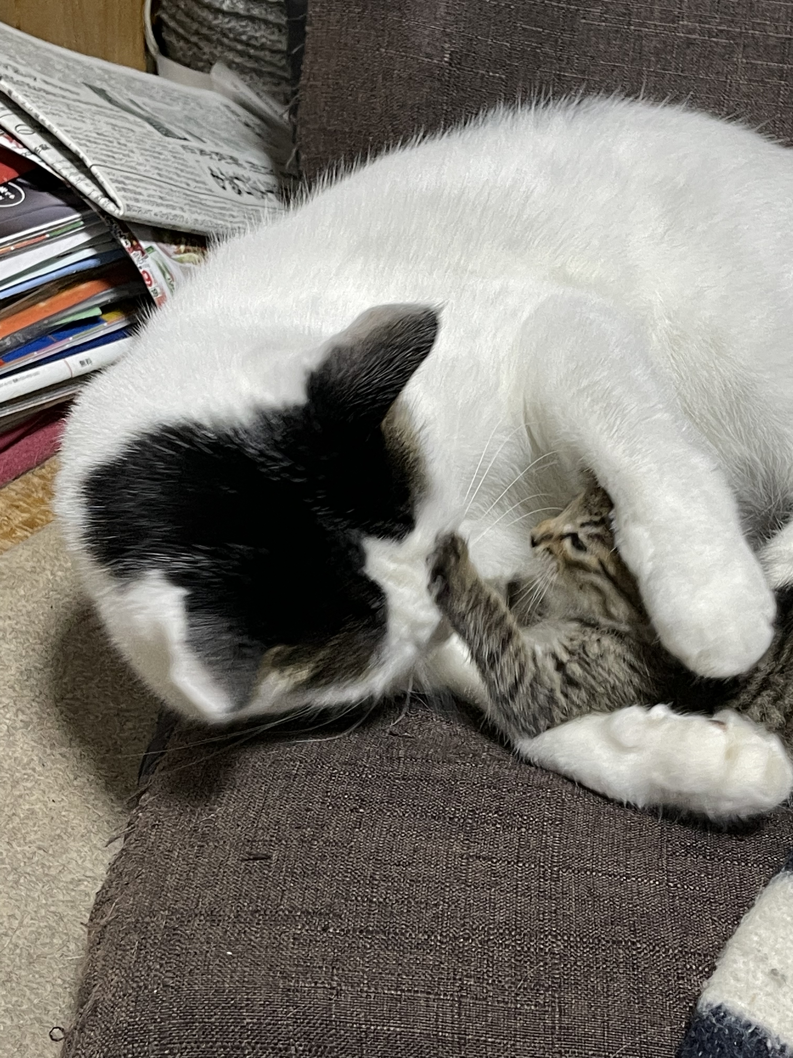 7594CF31-2508-4E67-854C-59849935E3C3