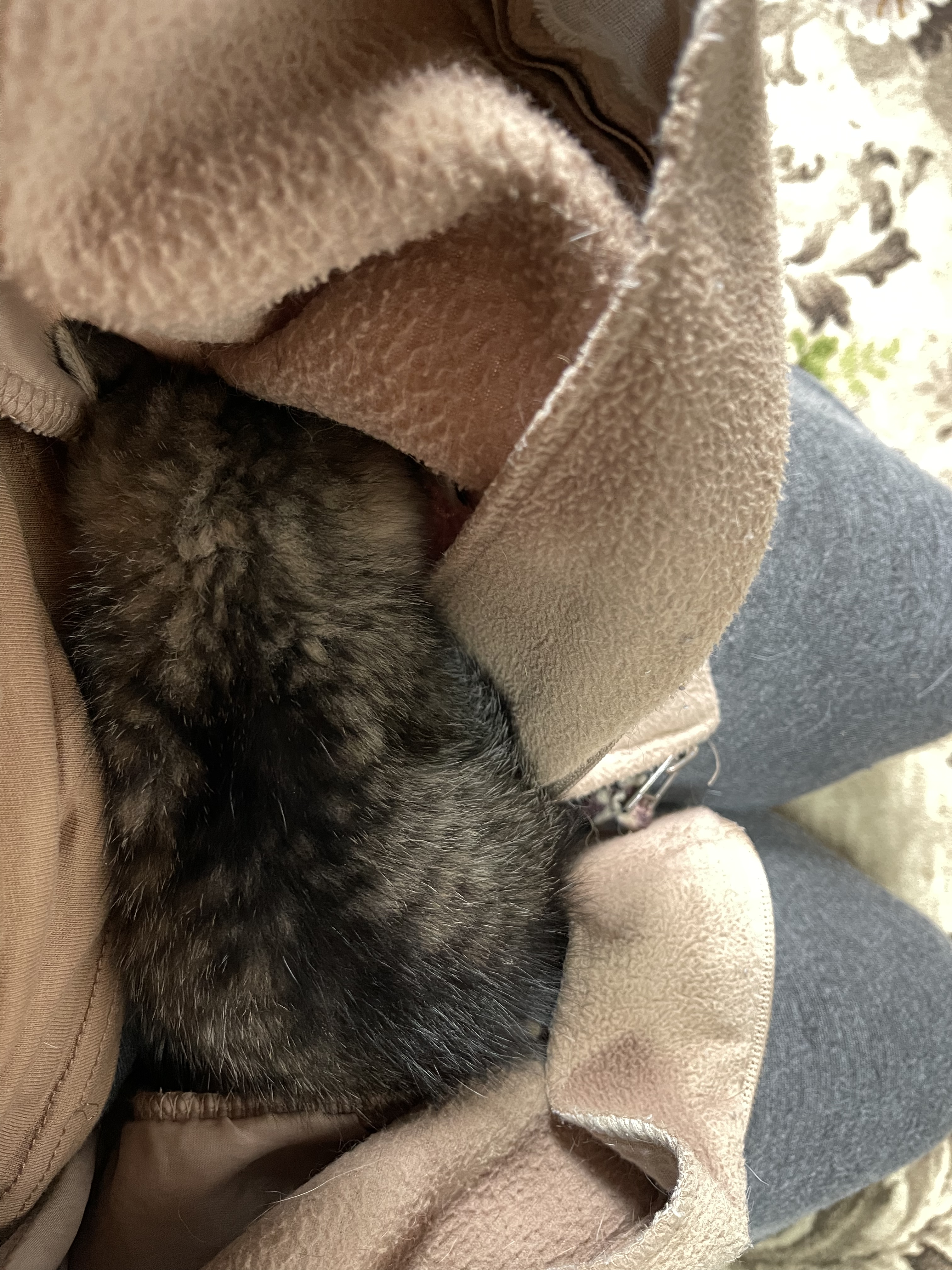 7E97A48F-DEEF-404E-833A-8F0E2EDA7B05